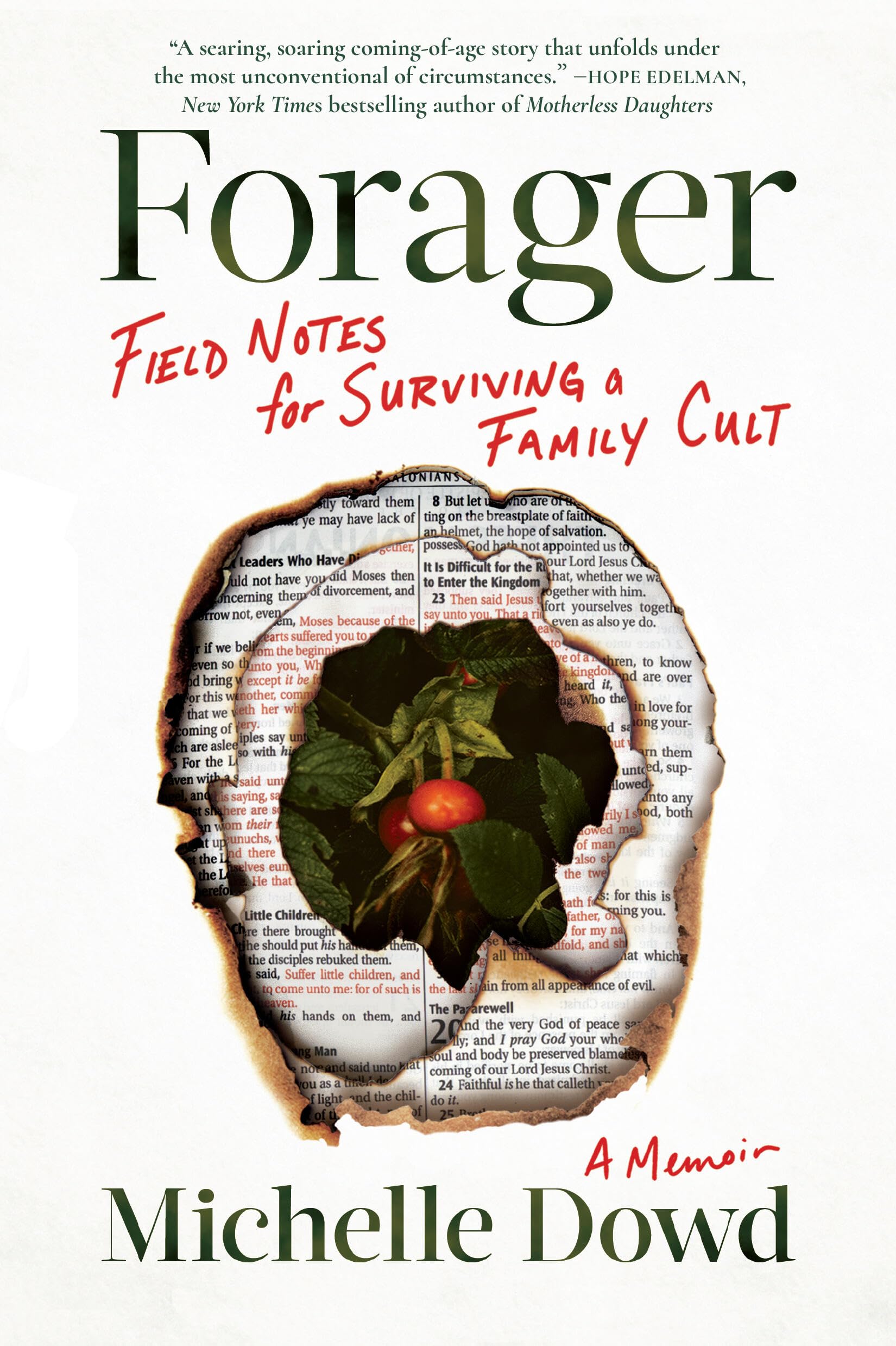 Forager: Field Notes for Surviving a Family Cult: a Memoir Politics & Society
