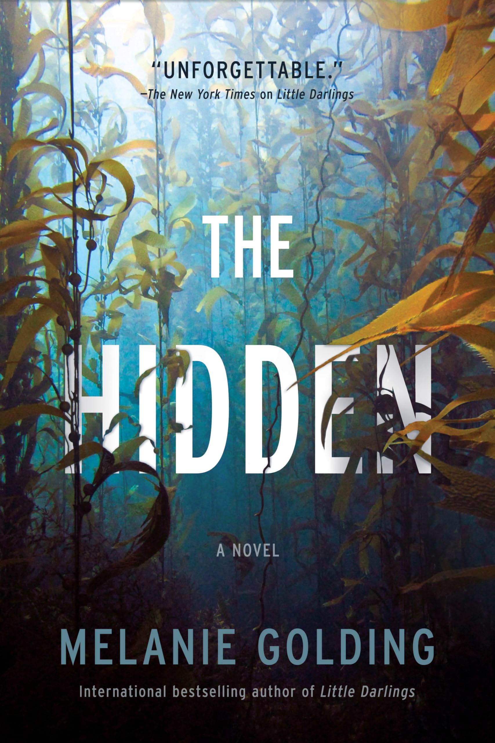 Product Image: The Hidden: A Novel