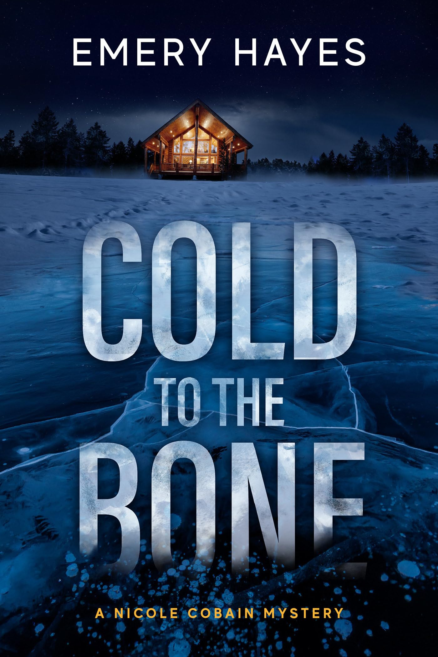 Cold to the Bone: A Nicole Cobain Mystery Contemporary literature
