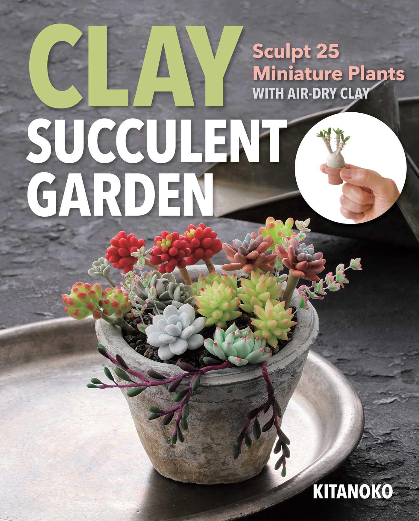 Clay Succulent Garden Hobbies & Crafts