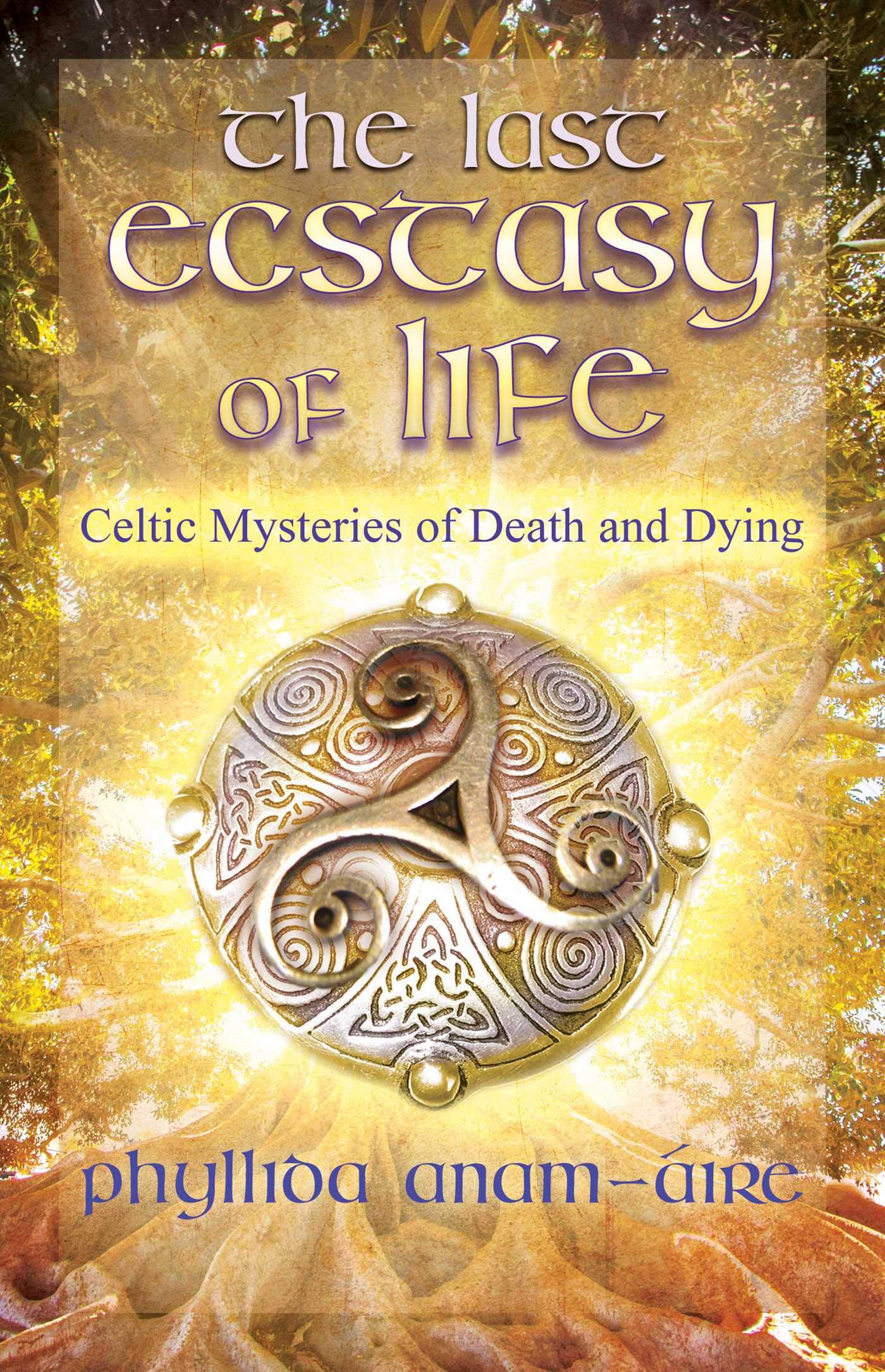 The Last Ecstasy of Life book