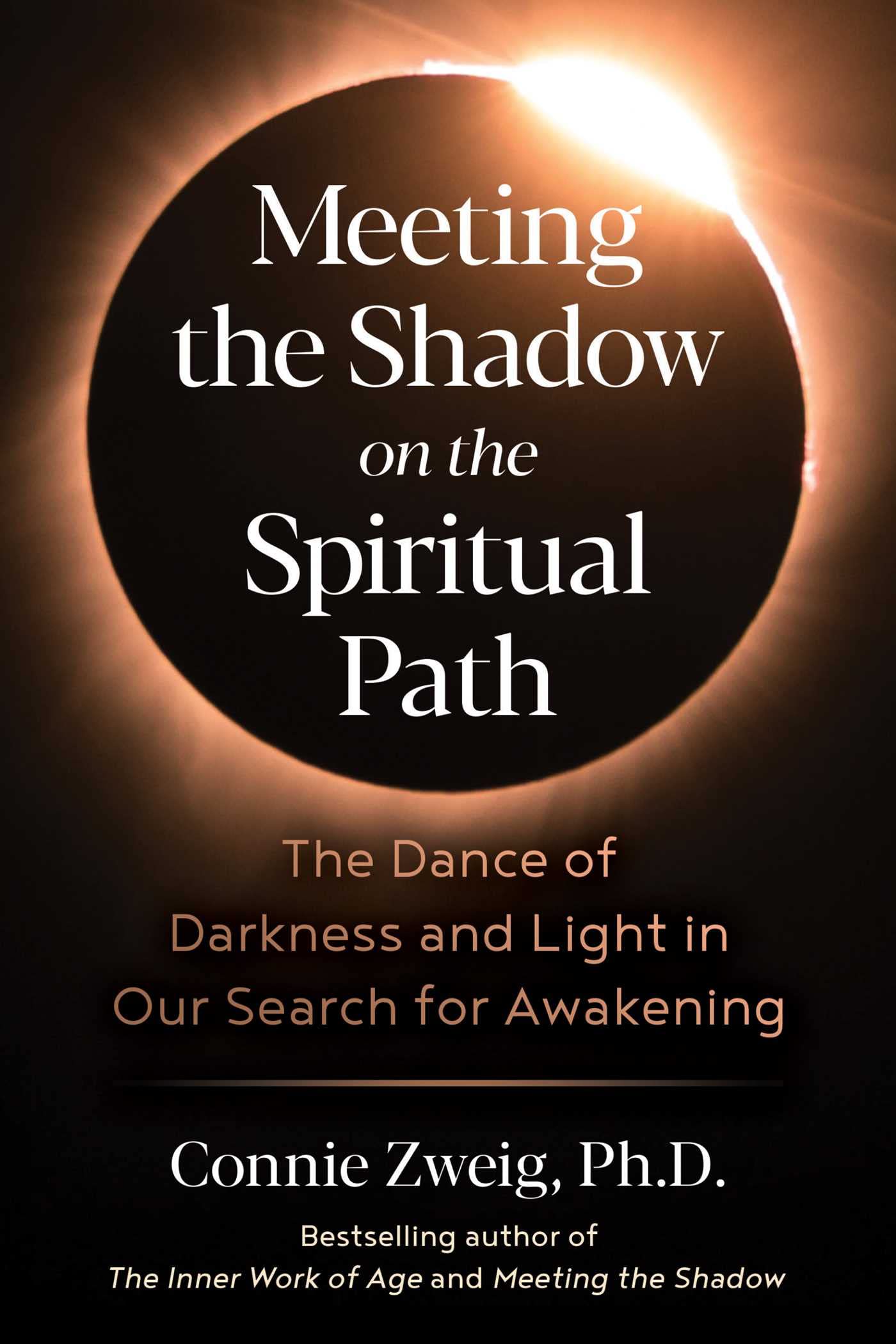 Meeting the Shadow on the Spiritual Path: The Dance of Darkness and Light in Our Search for Awakening Business, Finance & Career