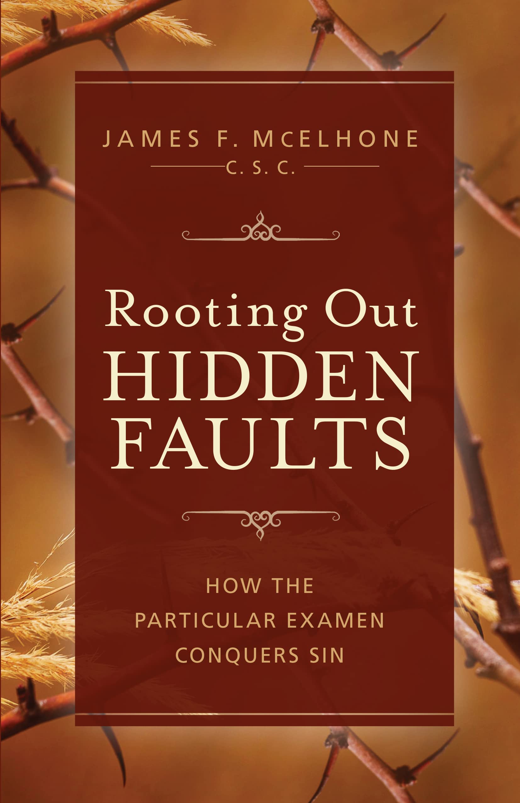 Rooting Out Hidden Faults: How the Particular Examen Conquers Sin Religion & Esotericism