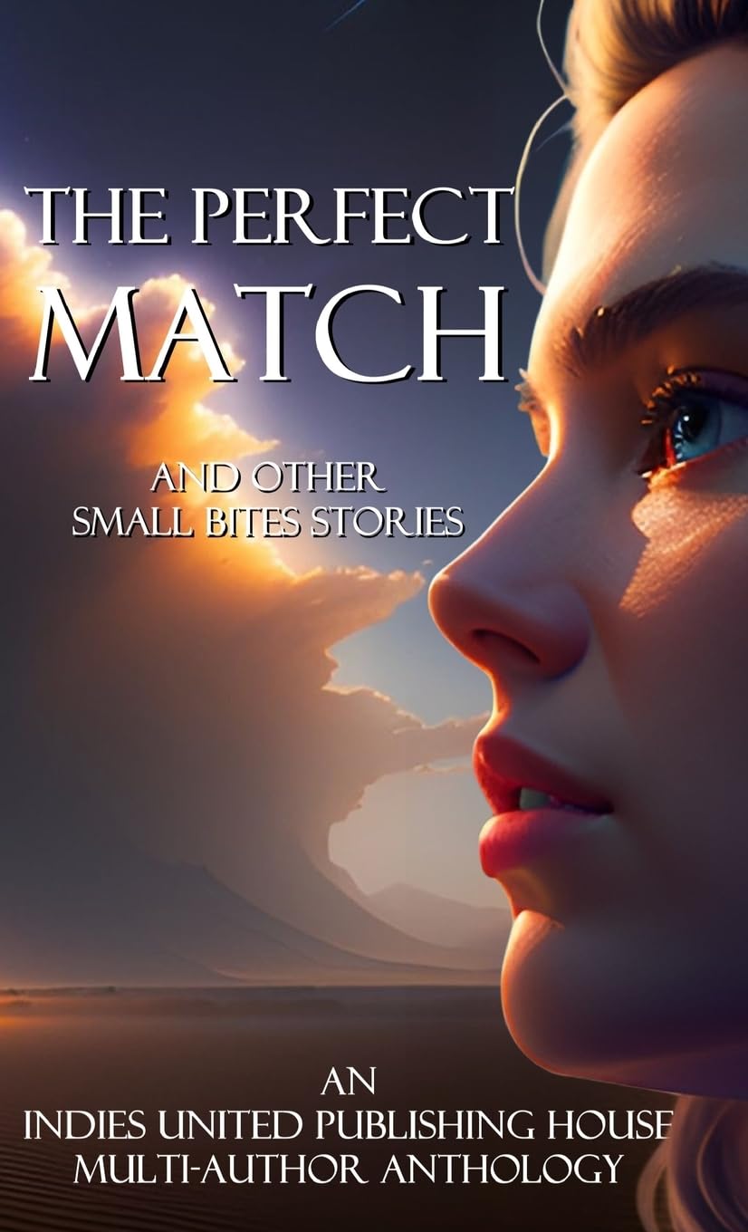 The Perfect Match Contemporary literature