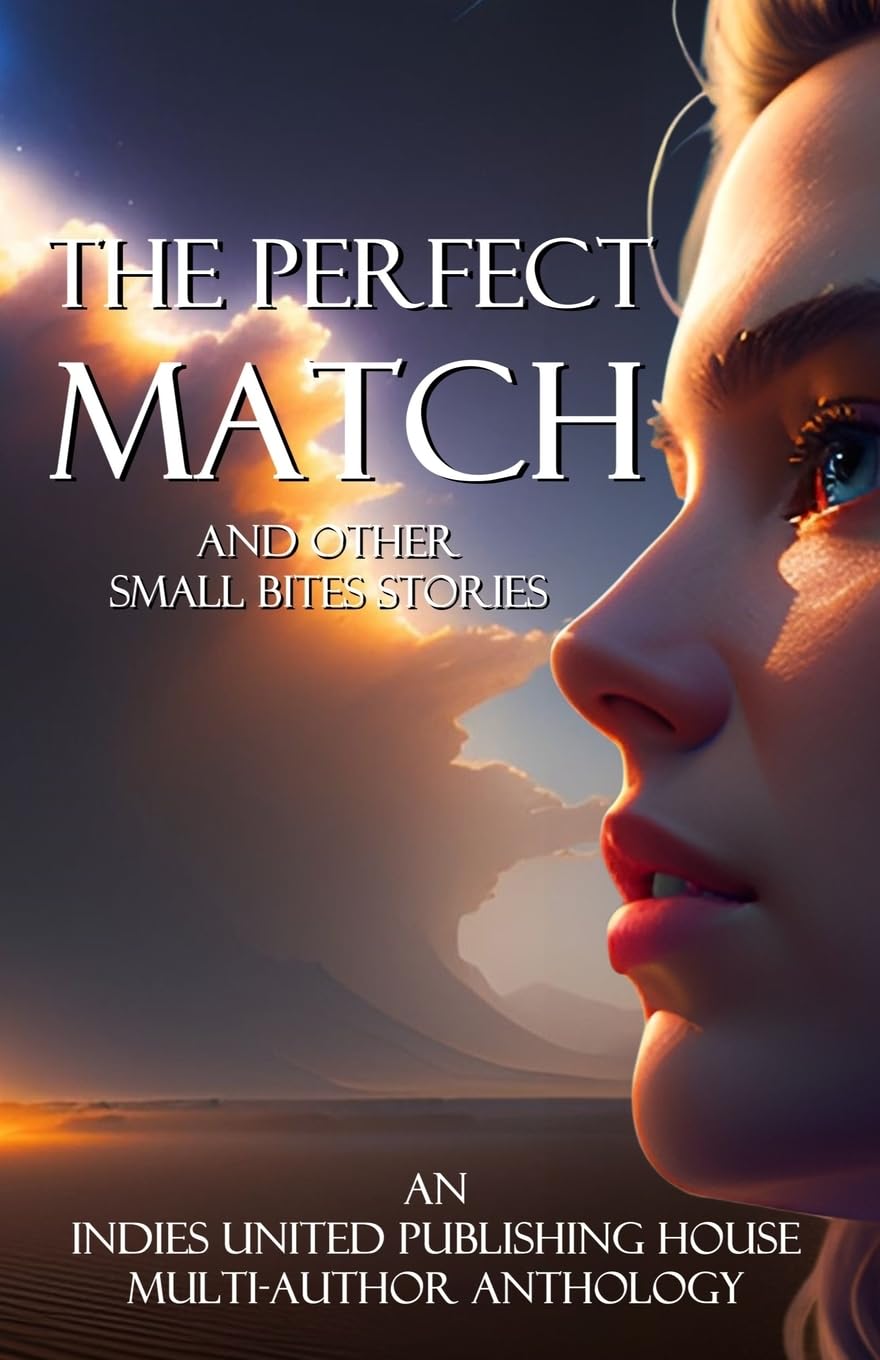 The Perfect Match Contemporary literature
