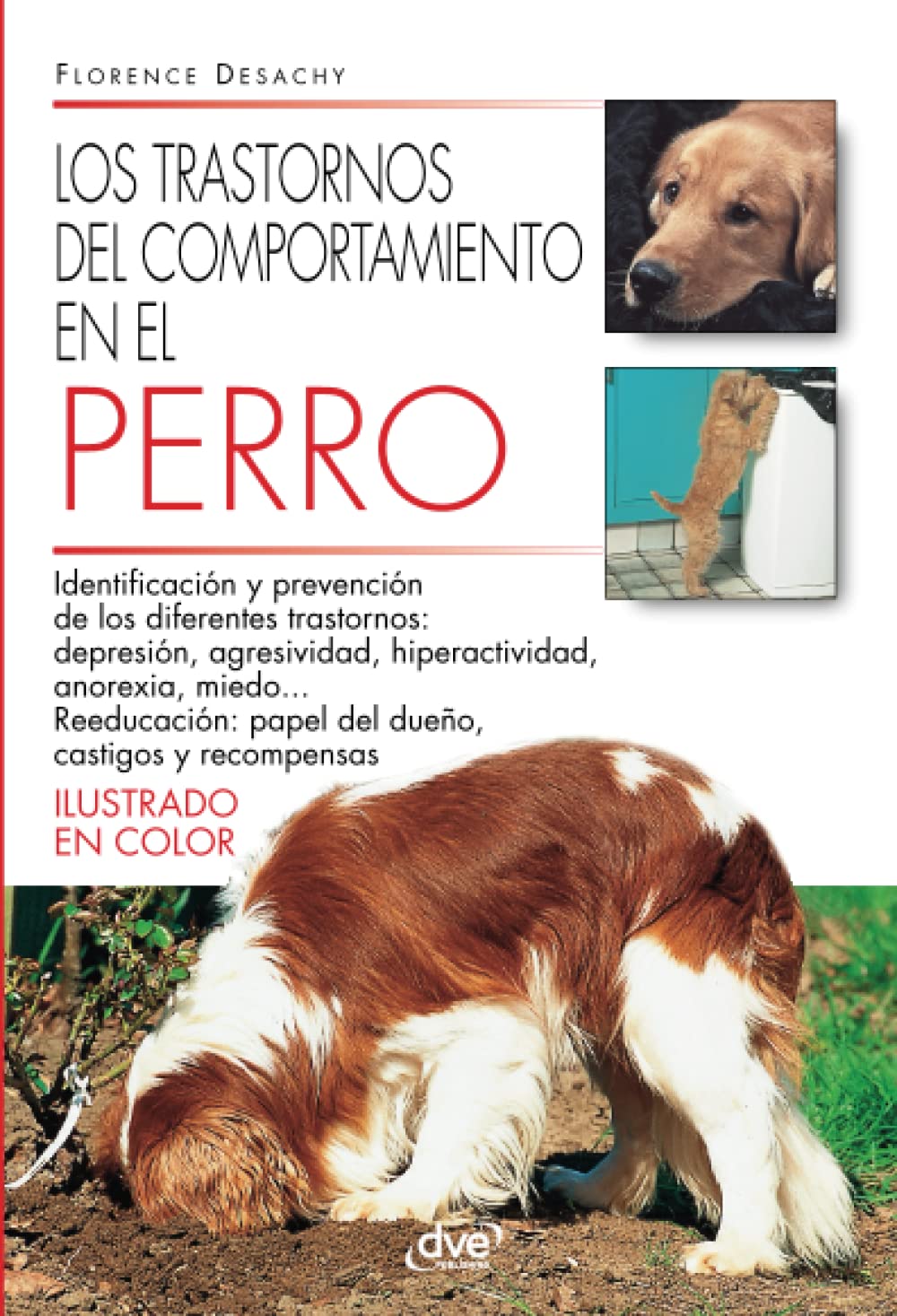 Los trastornos del comportamiento en el perro Pets
