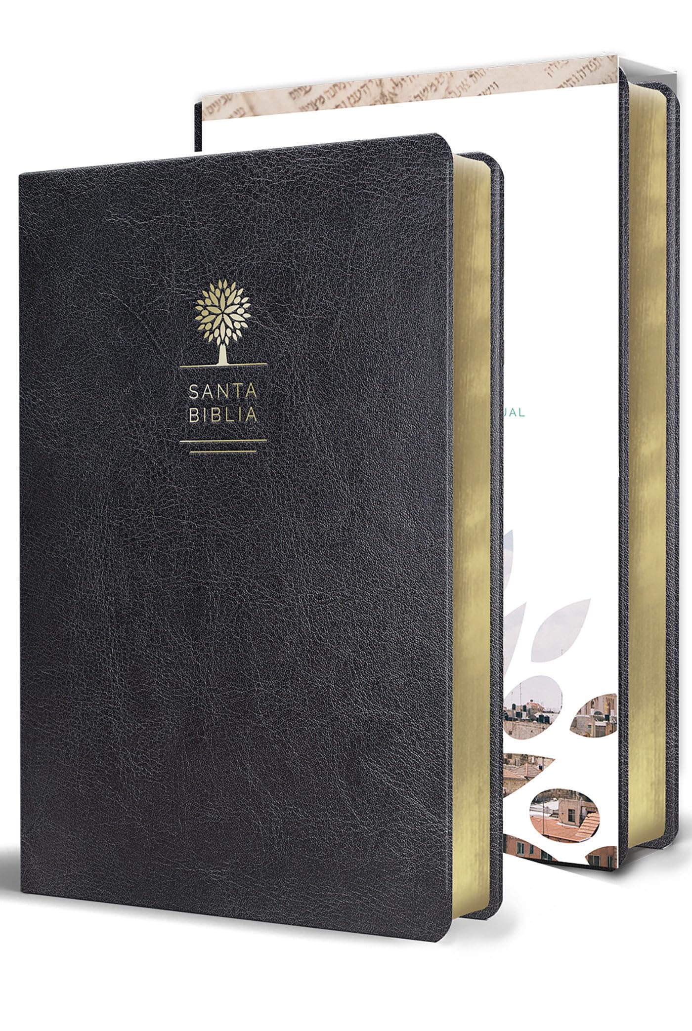 Biblia Reina Valera 1960 letra grande. Símil piel color negro, tamaño manual / Spanish Holy Bible RVR 1960. Handy Size, Large Print, Black ... 1960, Handy Size, Faux Leather, Black Social Sciences
