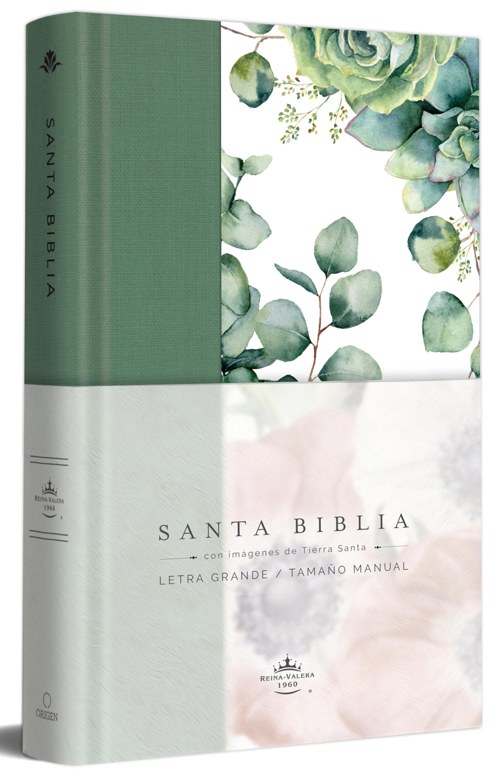 Biblia RVR 1960 letra grande Tapa dura y tela verde con flores tamaño manual / B ible RVR 1960 Handy Size Large Print Hardcover Cloth with Green ... 1960, Verde Con Flores, Tamaño Manual Religion & Esotericism