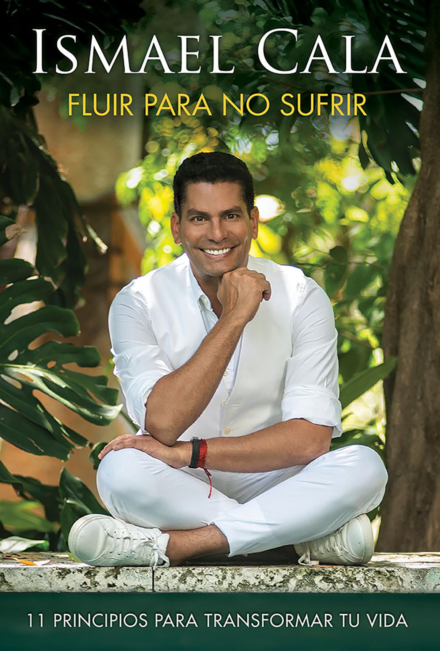 Fluir para no sufrir: 11 principios para transformar tu vida / Flow, Don't Suffe r: 11 principios para transformar tu vida/ 11 Principles to Transform your Life Business, Finance & Career