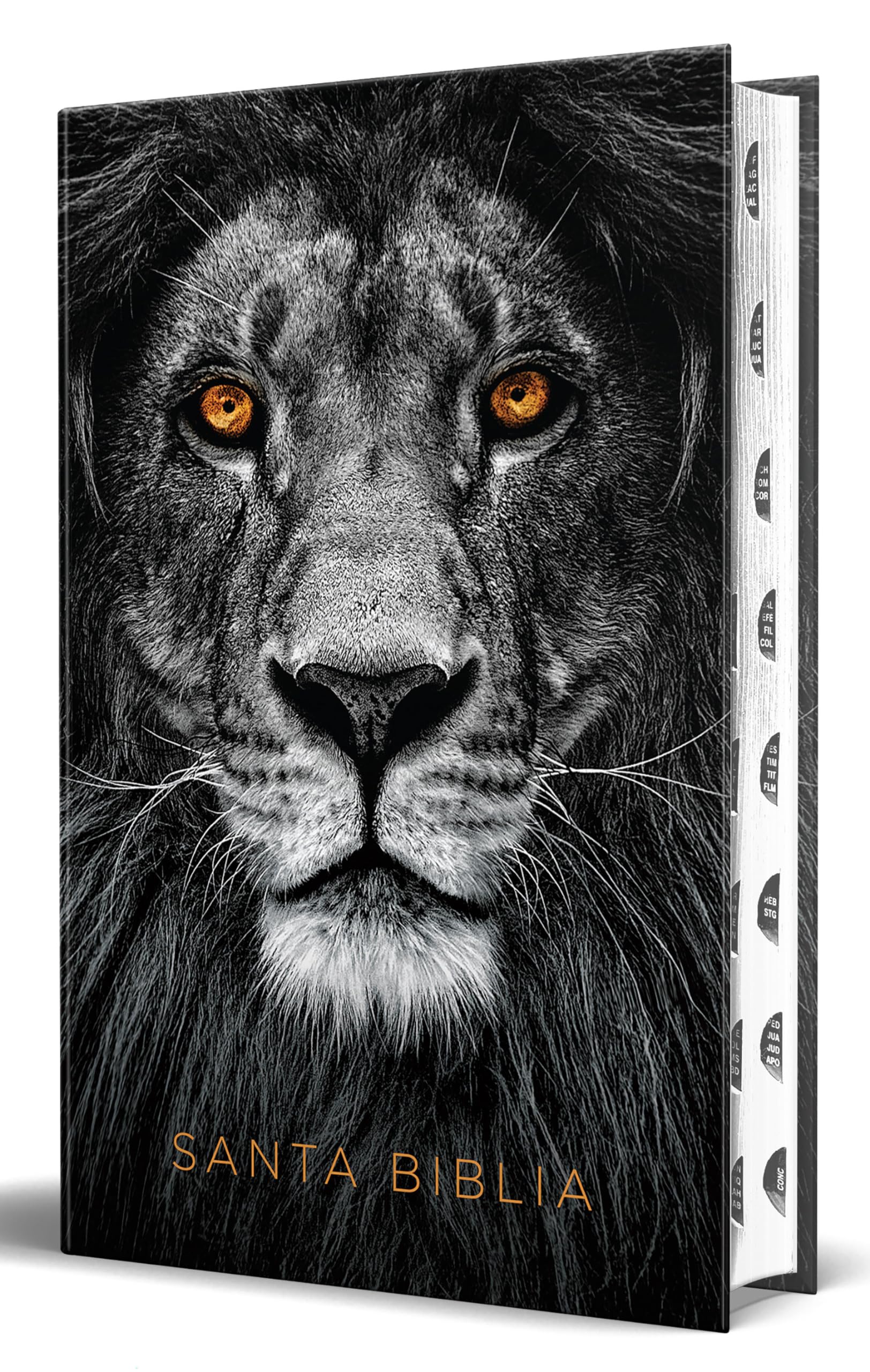 Biblia Rvr 1960 Letra Grande Tamaño Manual, Tapa Dura León de Juda Con Índice / Spanish Bible Rvr 1960 Handy Size Large Print Hardcover Lion of Judah with in Religion & Esotericism