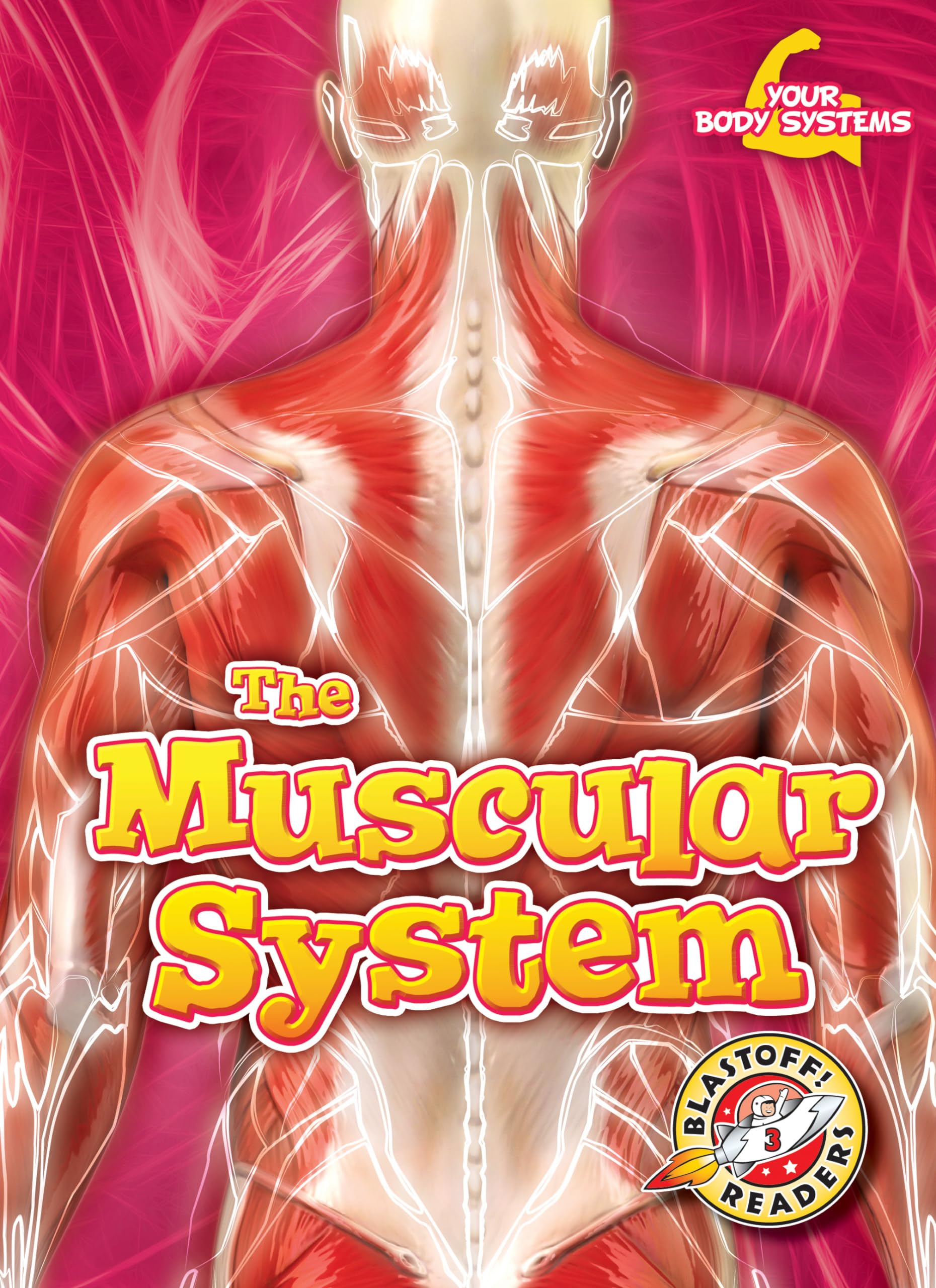 The Muscular System (Blastoff! Readers, Level 3: Your Body Systems) Non-fiction