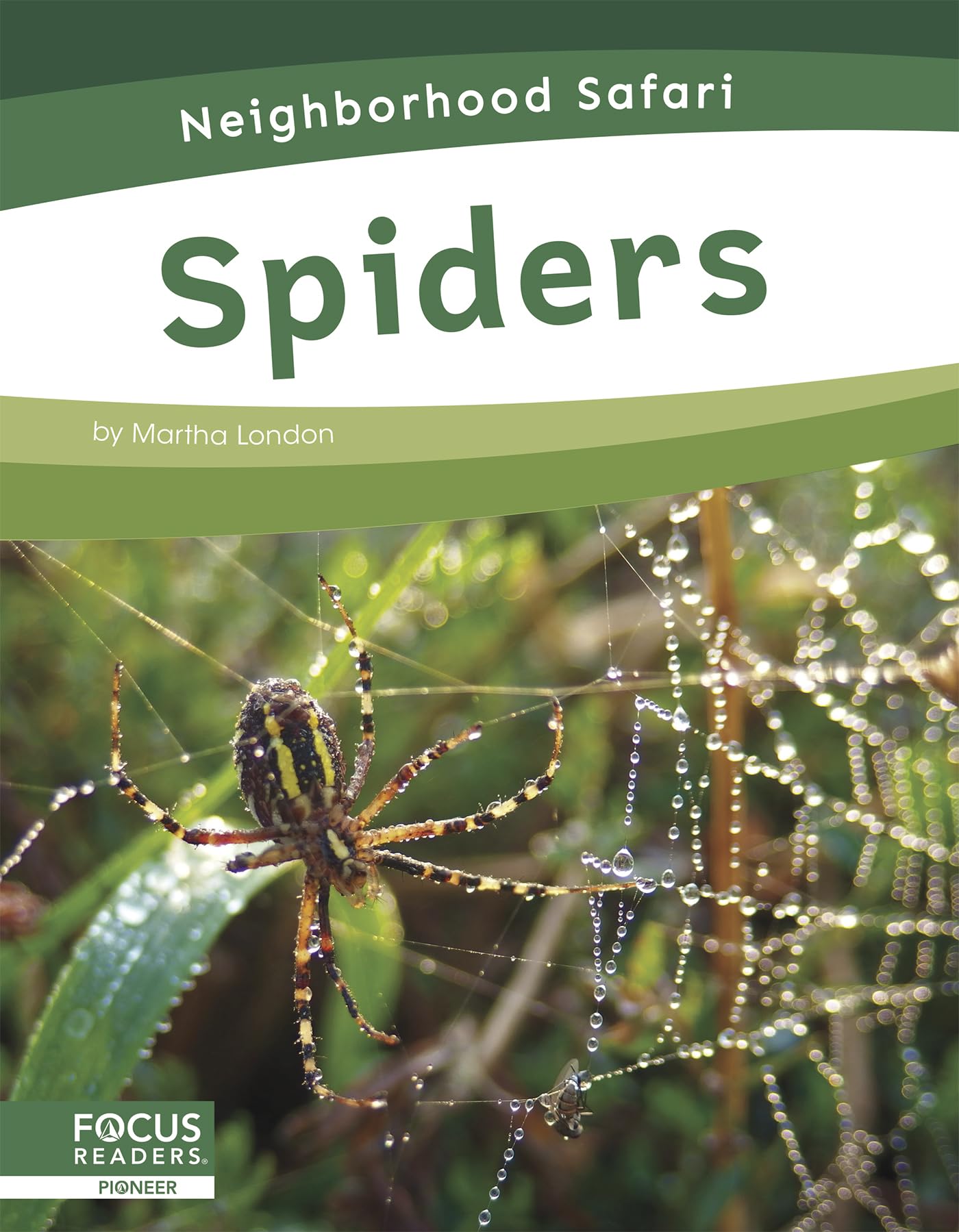 Spiders (Neighborhood Safari) Non-fiction