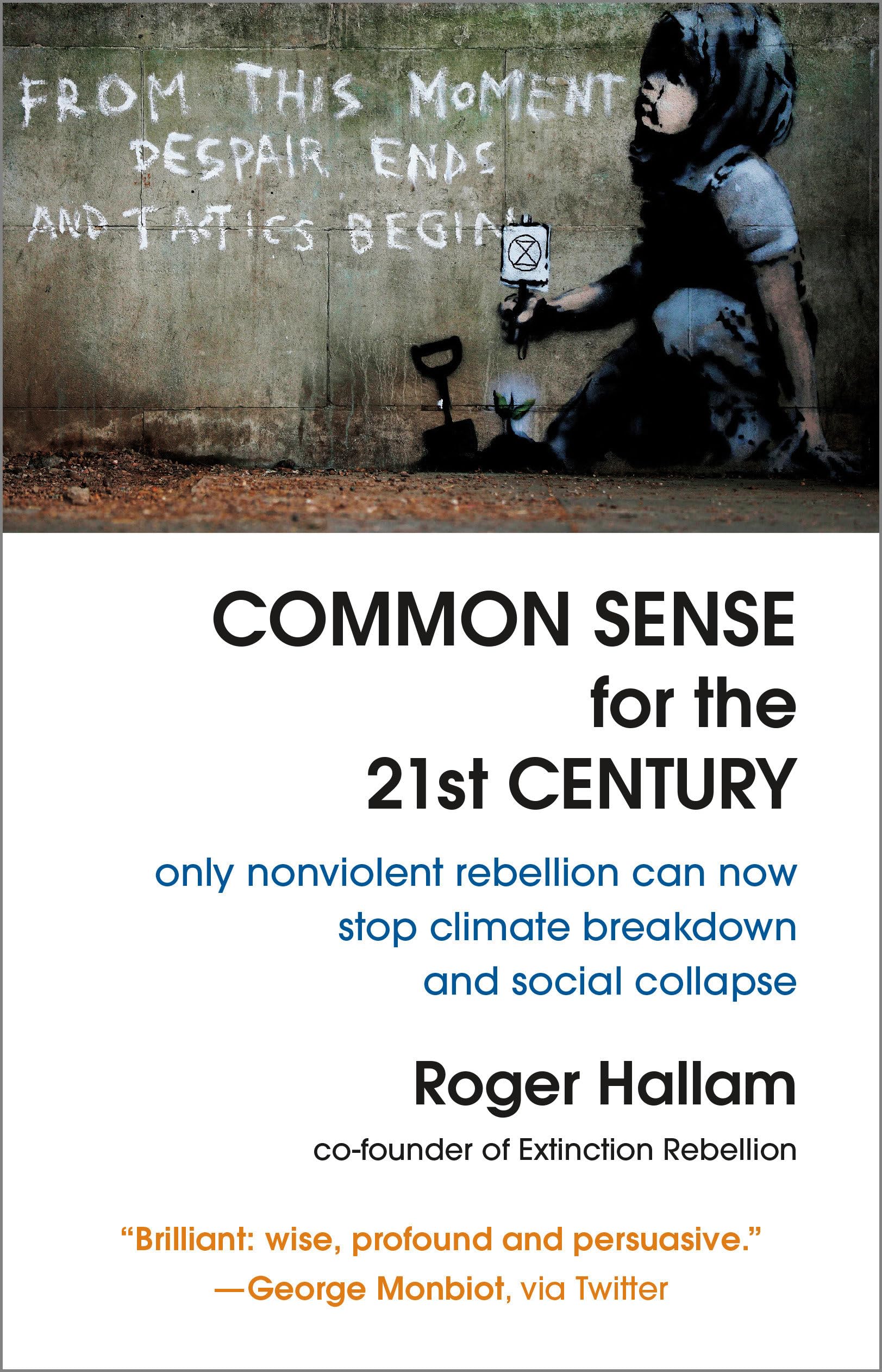 Product Image: Common Sense for the 21st Century