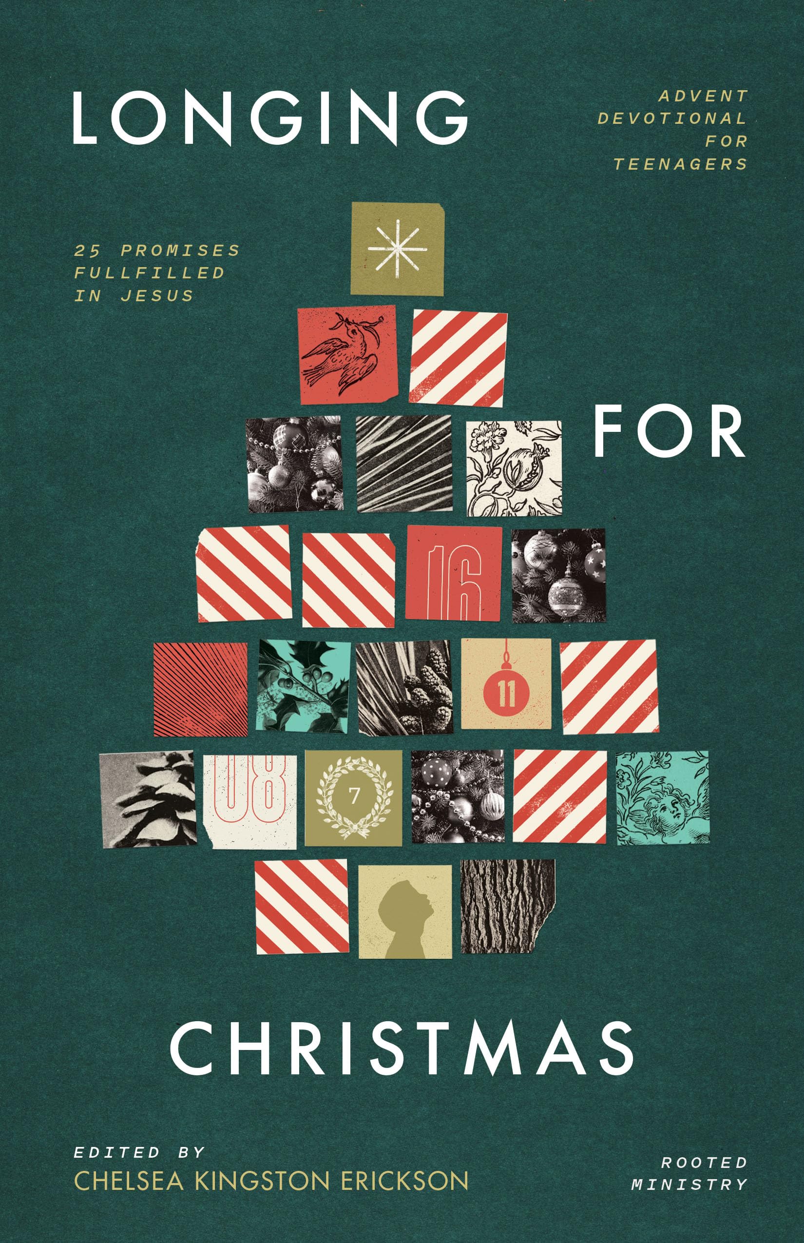 Longing for Christmas: 25 Promises Fulfilled in Jesus, Advent Devotional for Teenagers Education