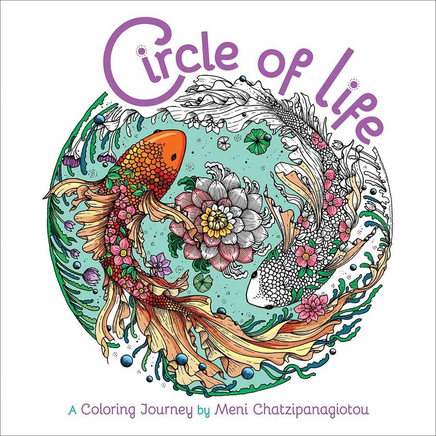 Circle of Life Coloring Hobbies & Crafts