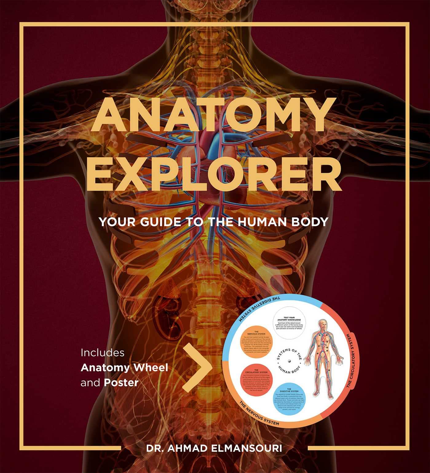Anatomy Explorer: Your Guide to the Human Body Medicine