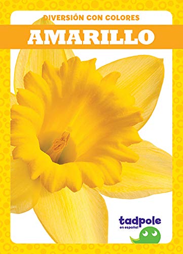 Amarillo (Yellow) Non-fiction books for kids