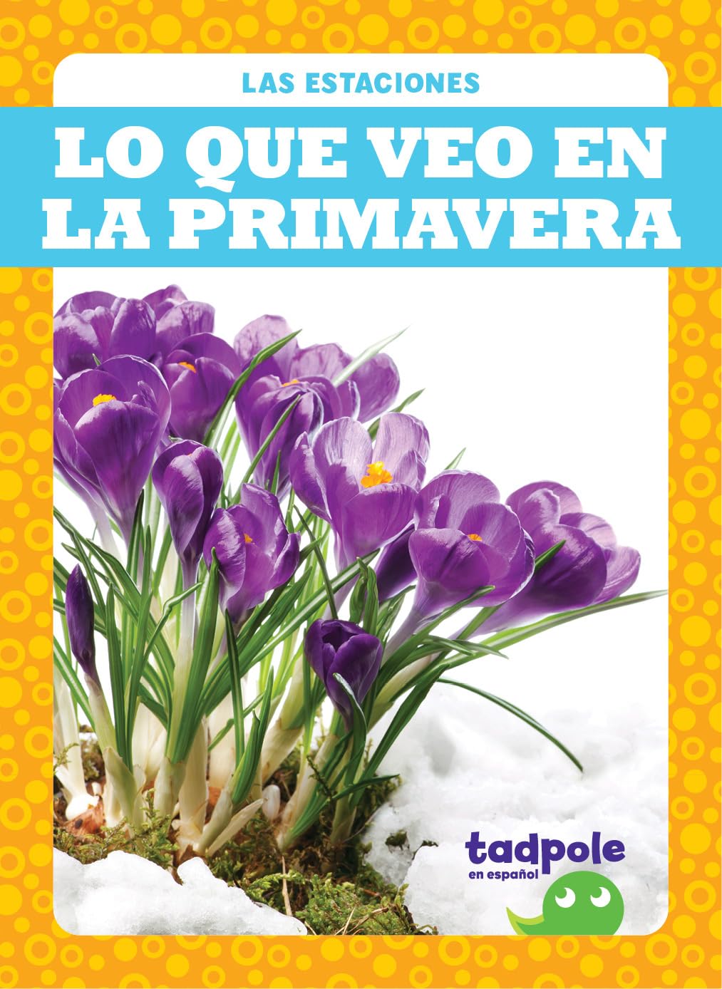 Lo Que Veo En La Primavera (What I See in Spring) (Las estaciones/ Seasons) Non-fiction