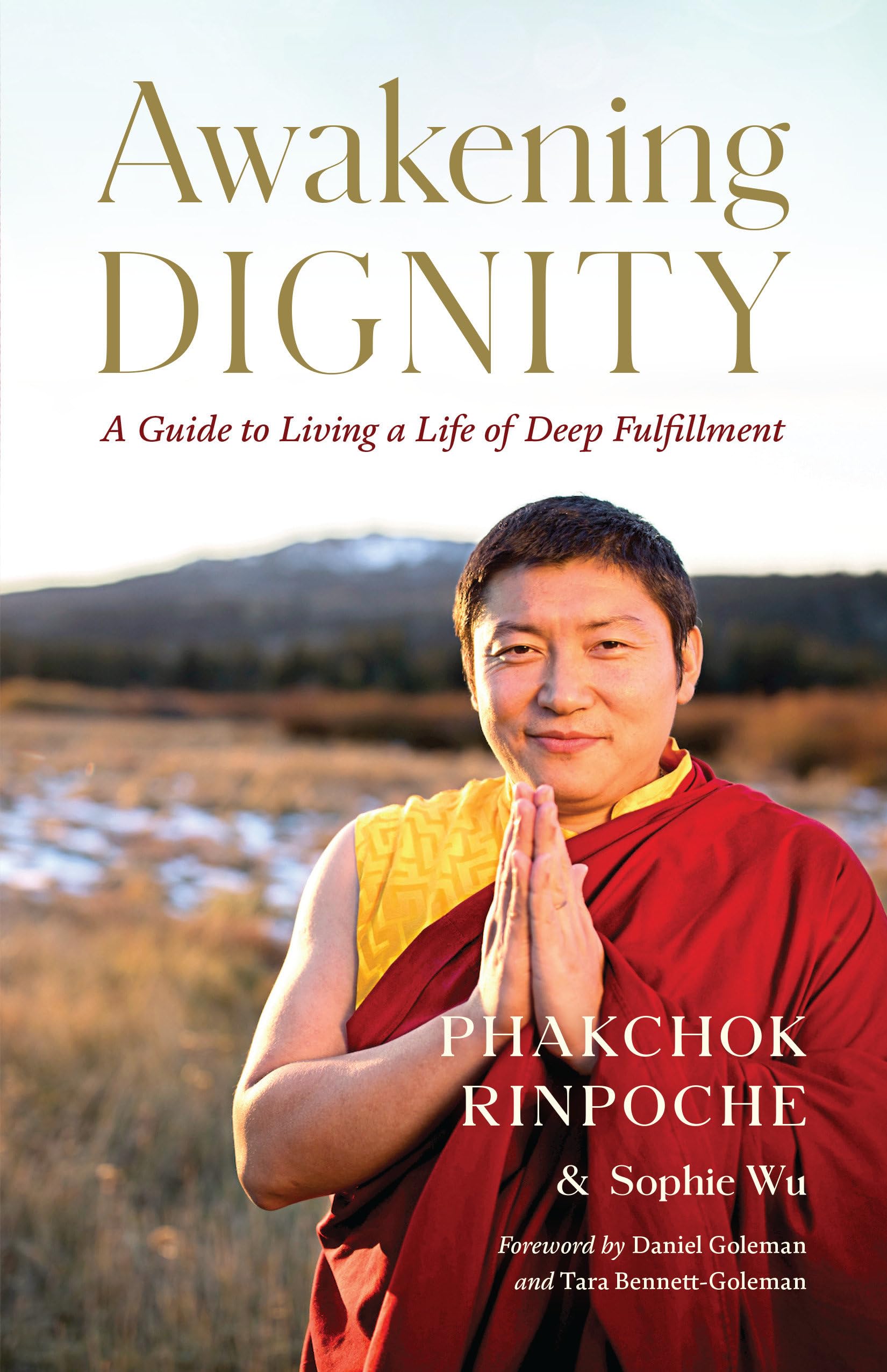 Awakening Dignity: A Guide to Living a Life of Deep Fulfillment Lifestyle