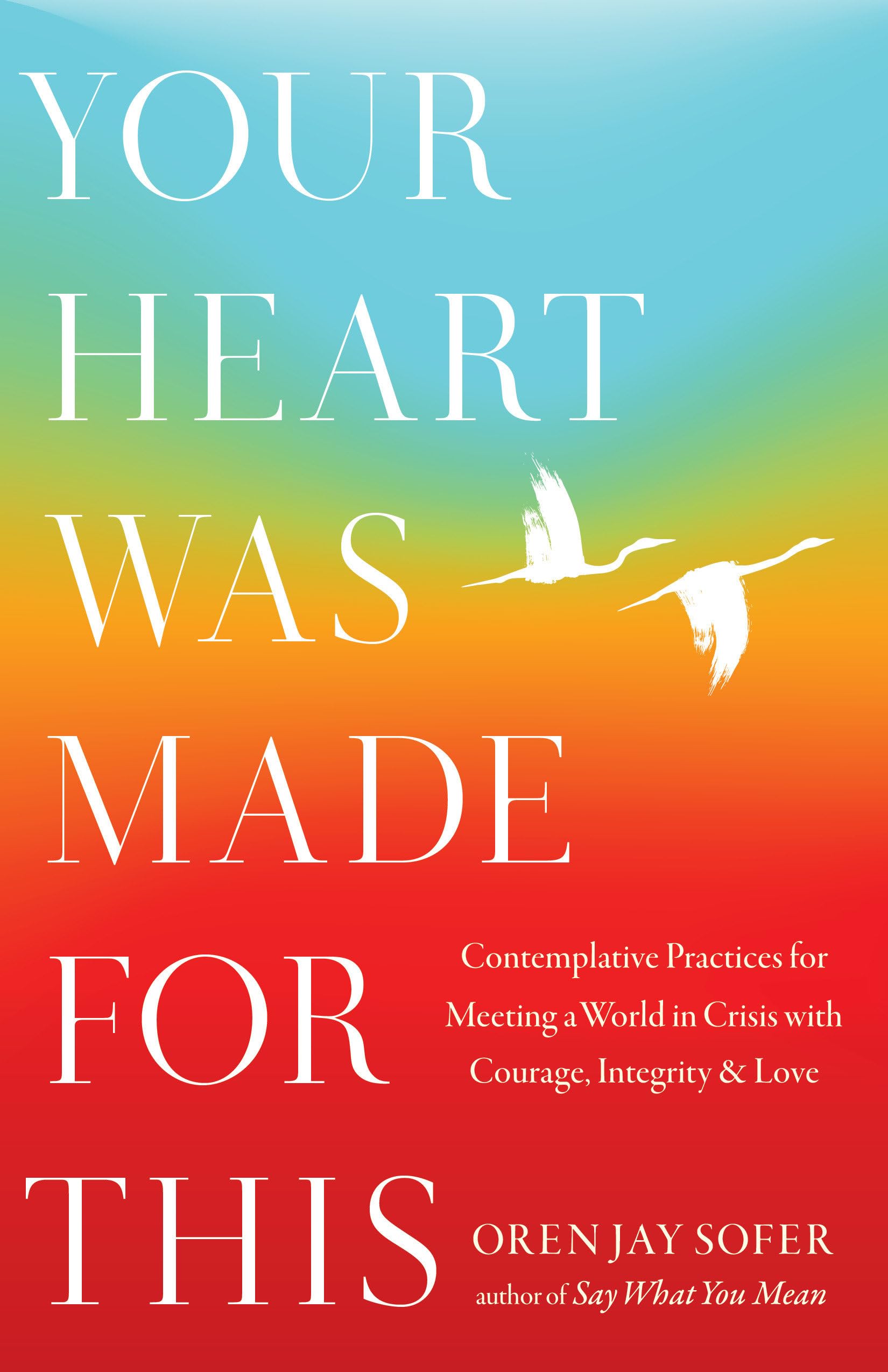 Your Heart Was Made for This: Contemplative Practices for Meeting a World in Crisis with Courage, Integrity, and Love book