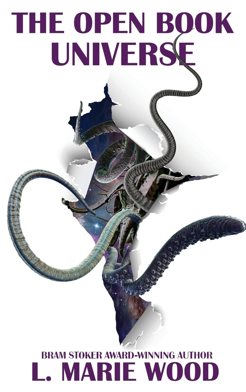 Product Image: The Open Book Universe