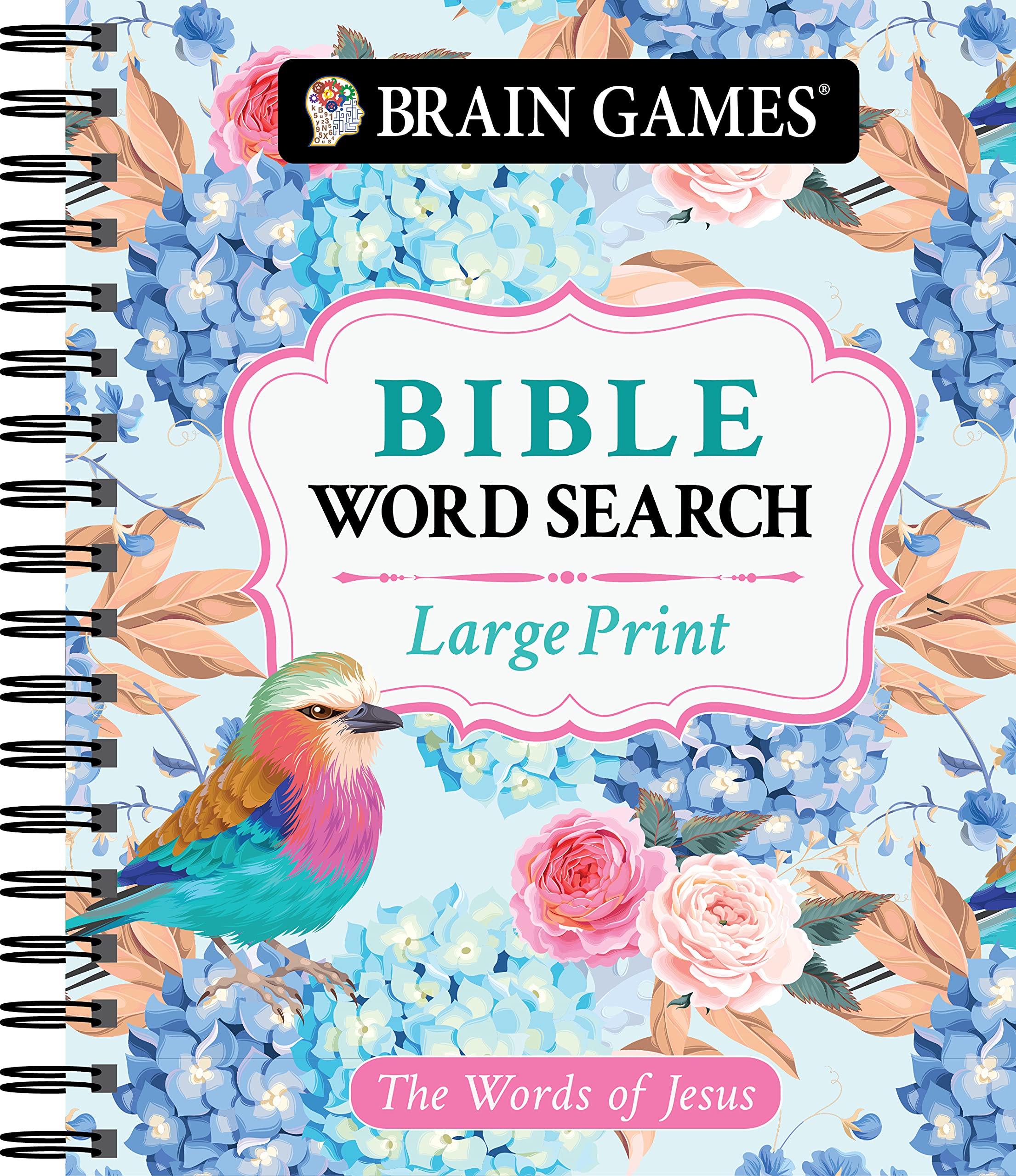 Brain Games - Large Print Bible Word Search: The Words of Jesus (Brain Games - Bible) Leisure & Fun
