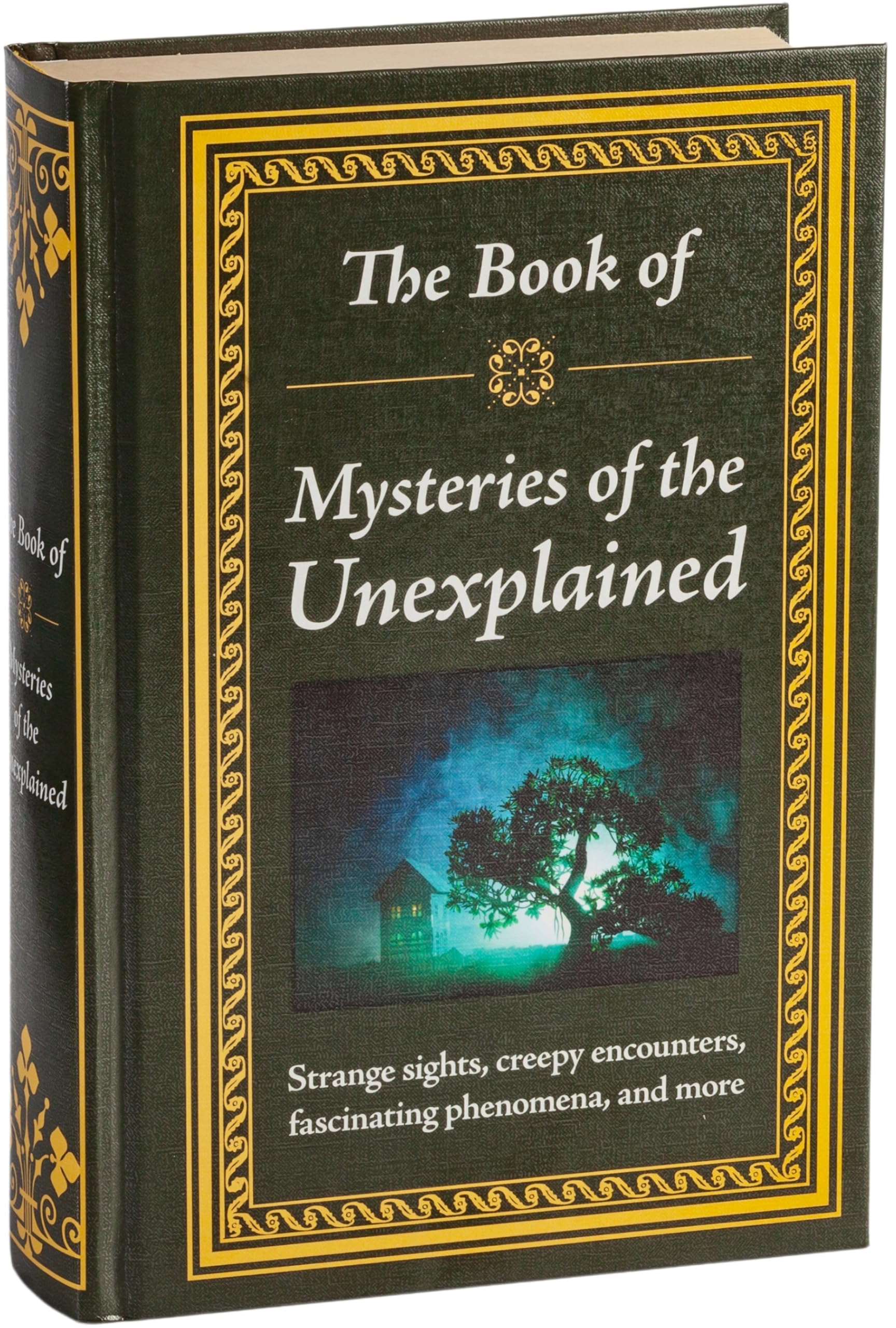 The Book of Mysteries of the Unexplained Politics & Society