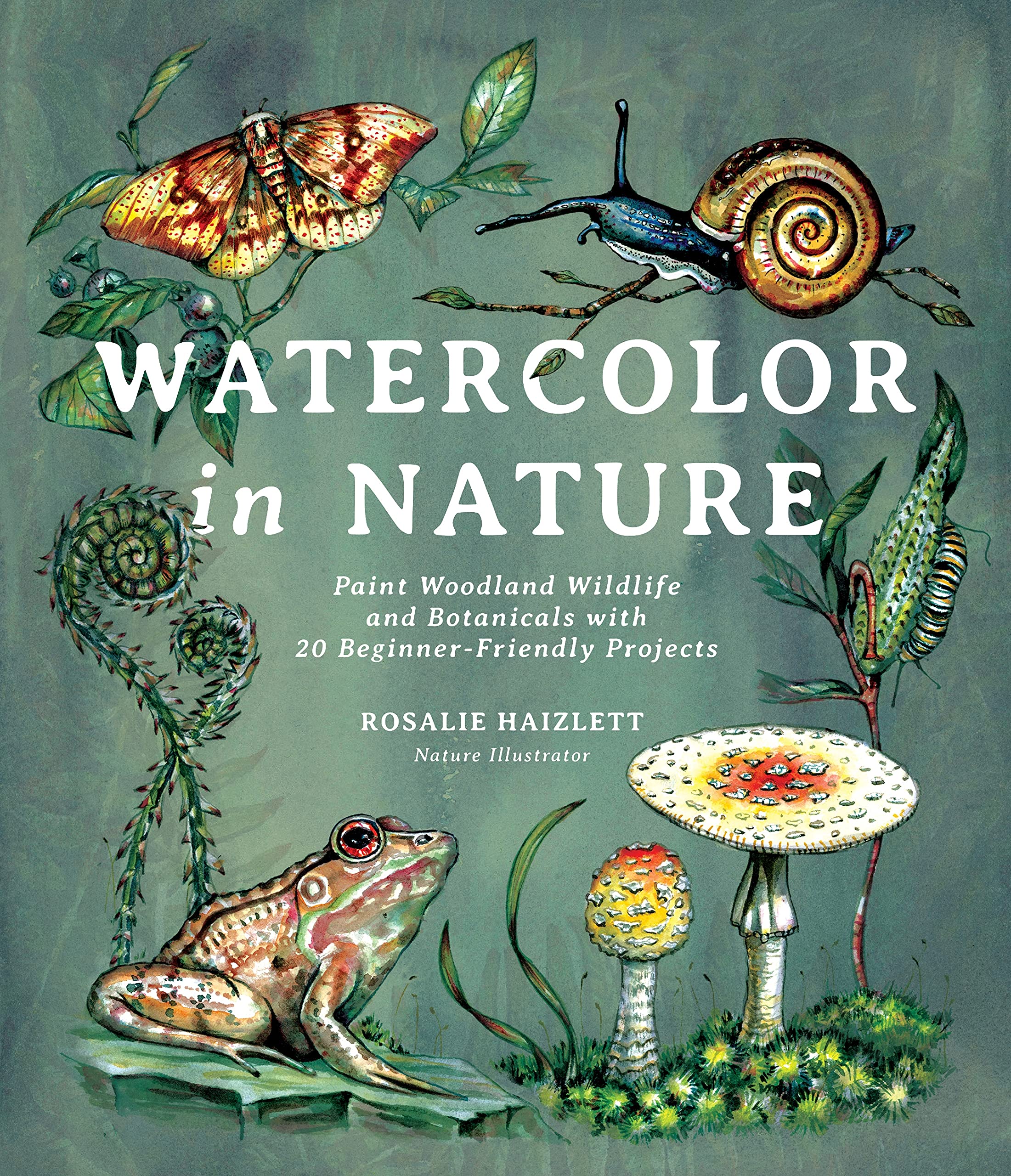 Watercolor in Nature: Paint Woodland Wildlife and Botanicals with 20 Beginner-Friendly Projects Arts & Music