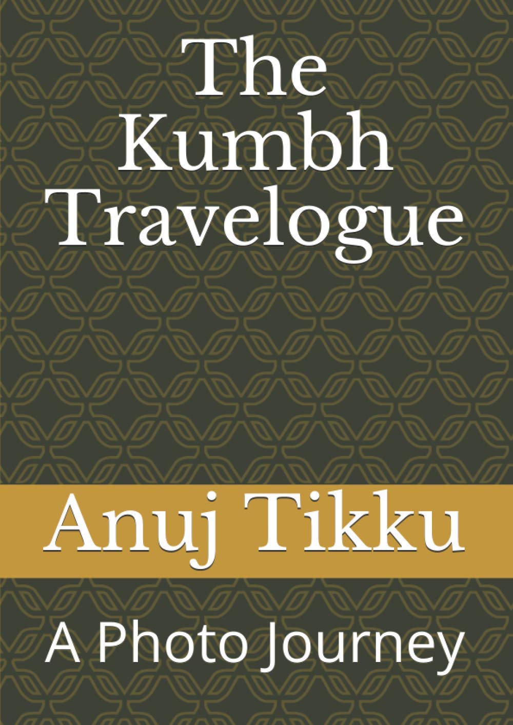 The Kumbh Travelogue: A Photo Journey Tiptoi & Games