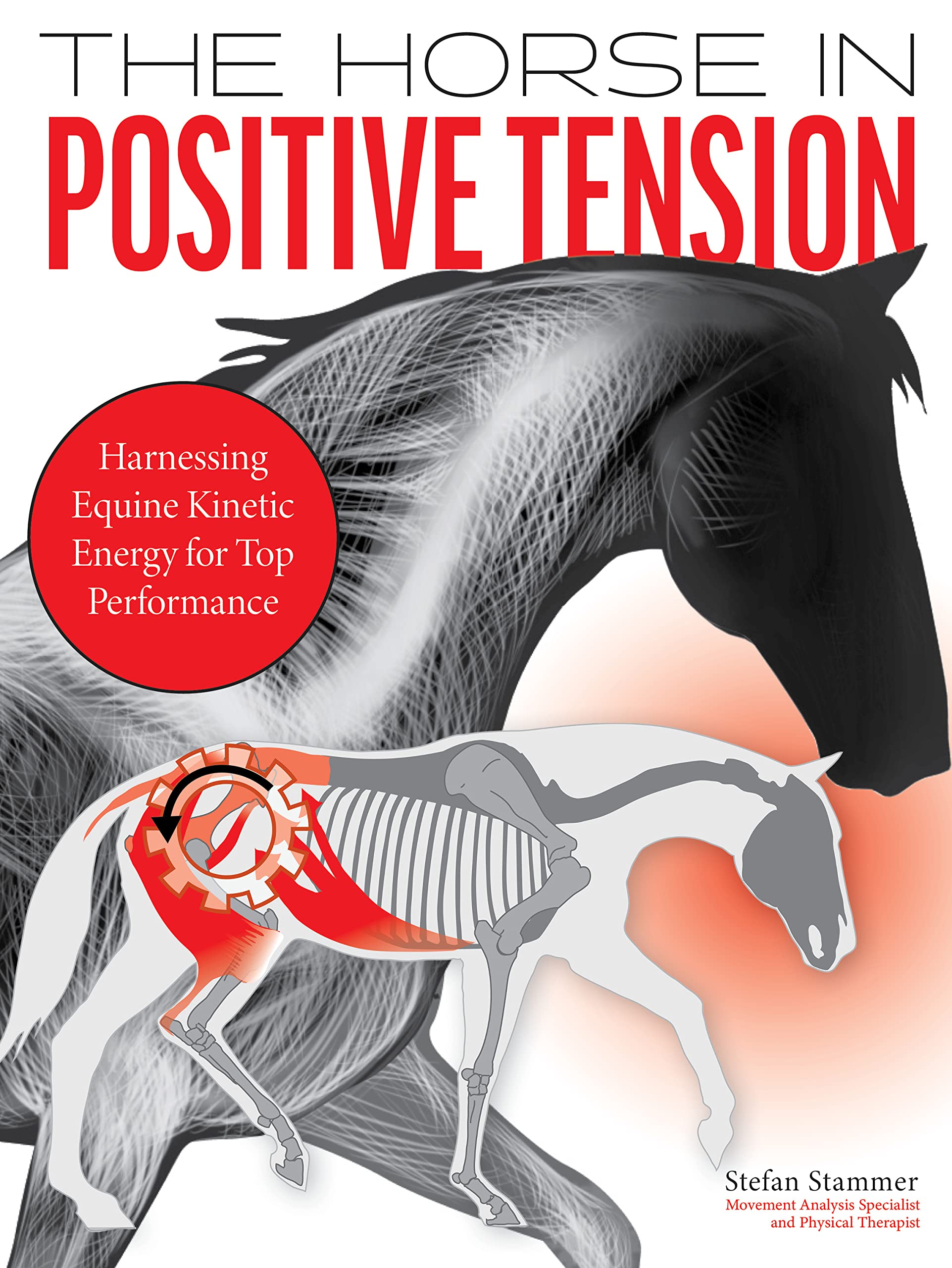 The Horse in Positive Tension: Harnessing Equine Kinetic Energy for Top Performance Pets