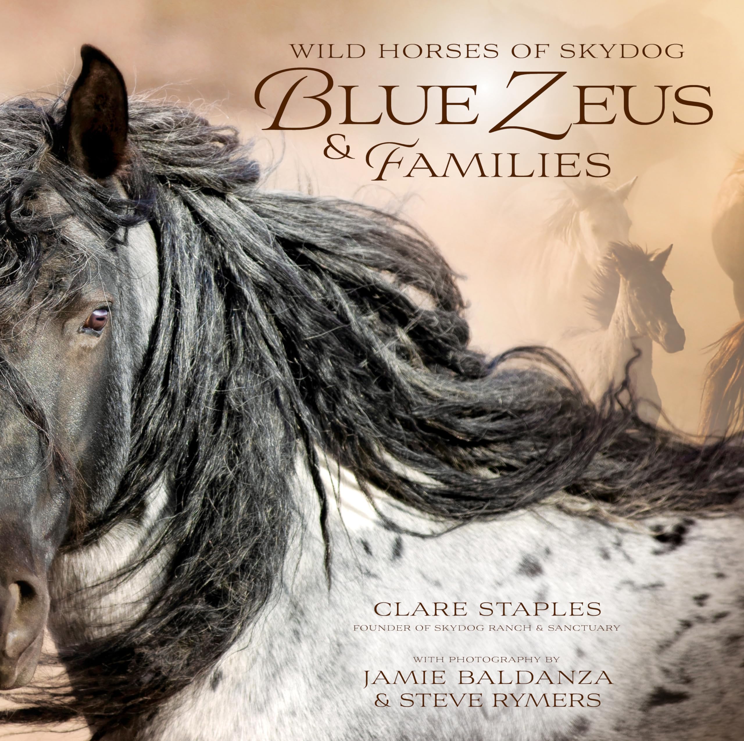 Wild Horses of Skydog: Blue Zeus & Families Mathematics