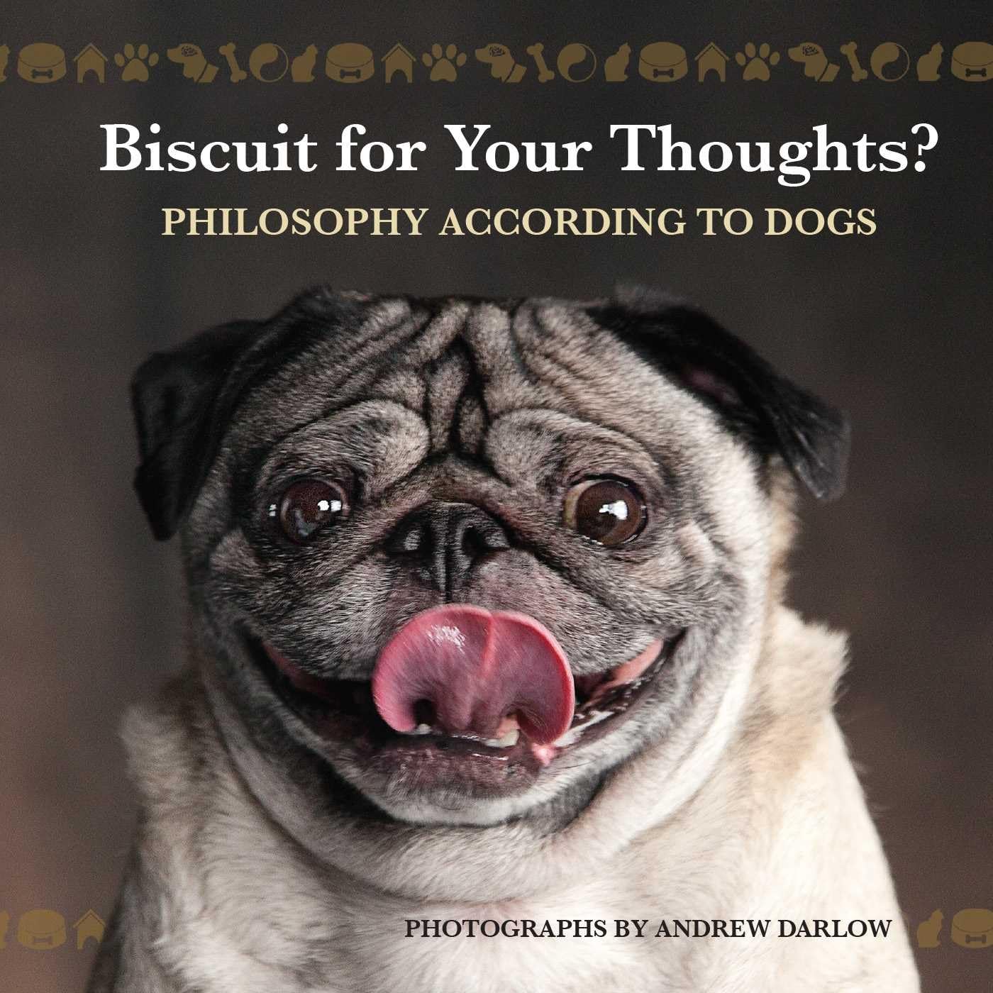 Biscuit for Your Thoughts?: Philosophy According to Dogs (Fun Gifts for Animal Lovers) Mathematics