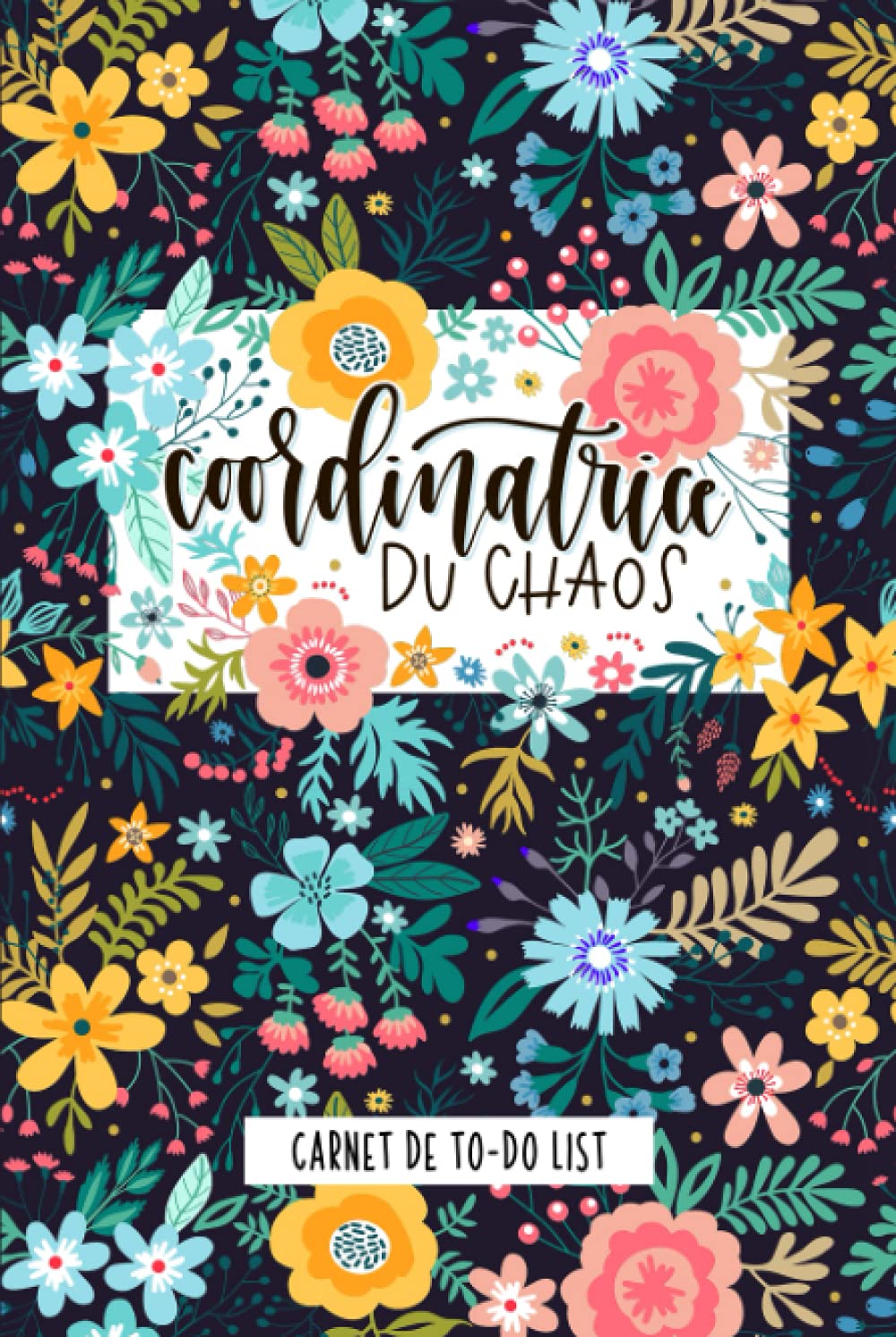 Coordinatrice du chaos : Carnet de to-do list book