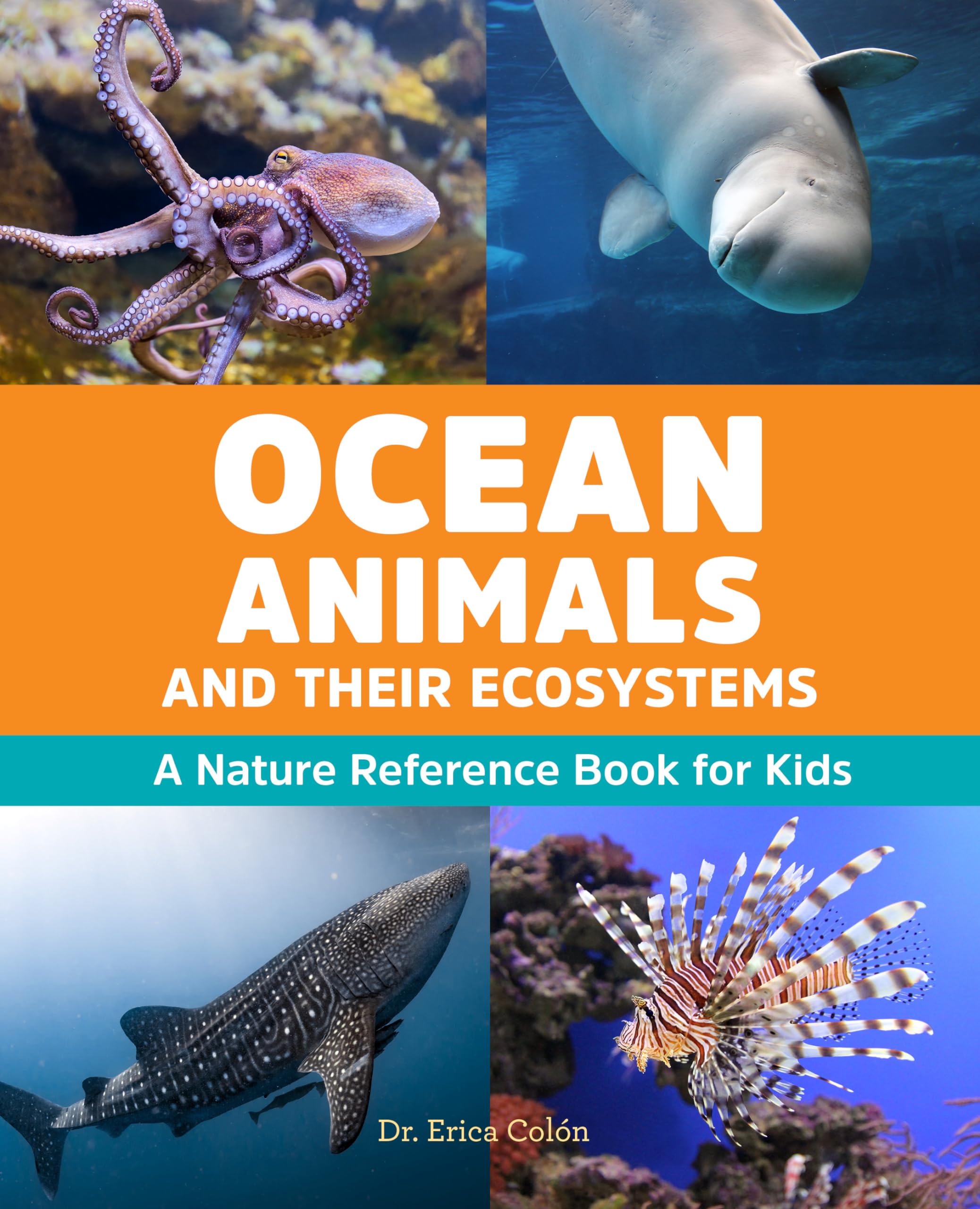 Product Image: Ocean Animals and Their Ecosystems