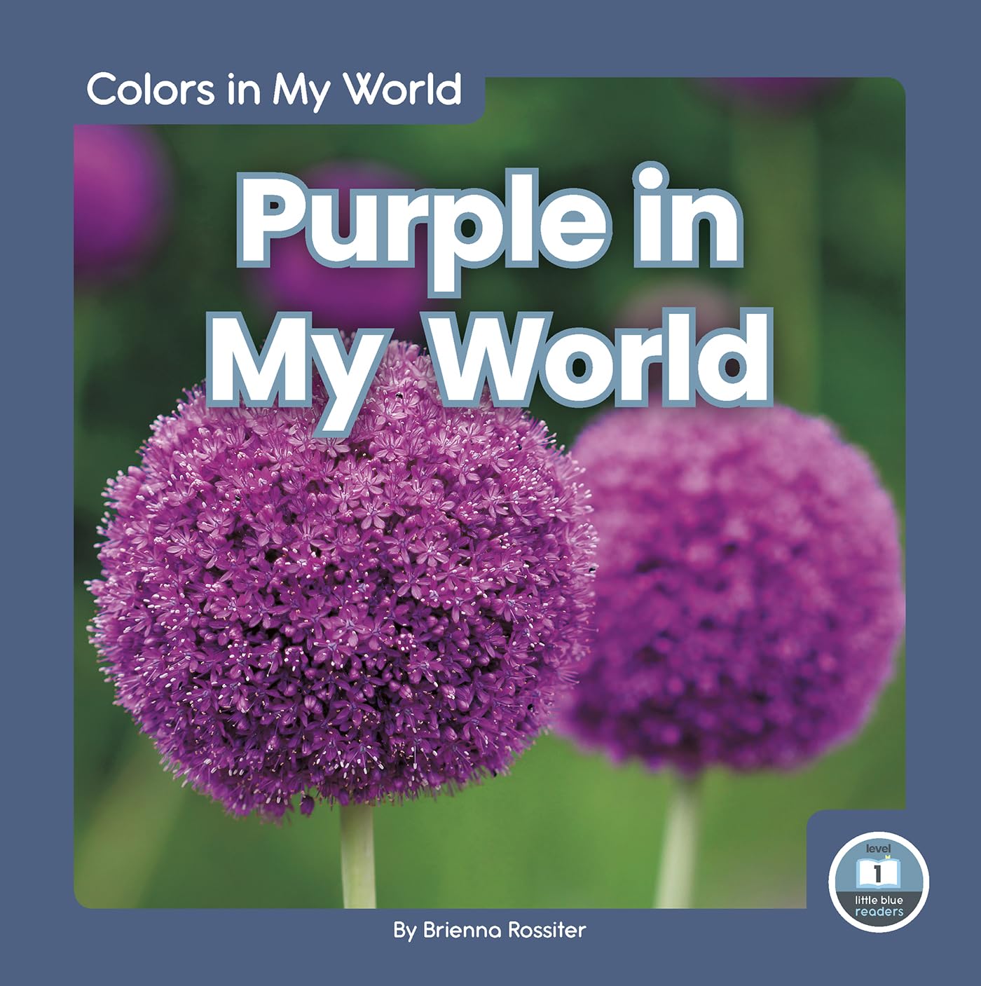 Purple in My World (Colors in My World: Little Blue Readers, Level 1) Non-fiction
