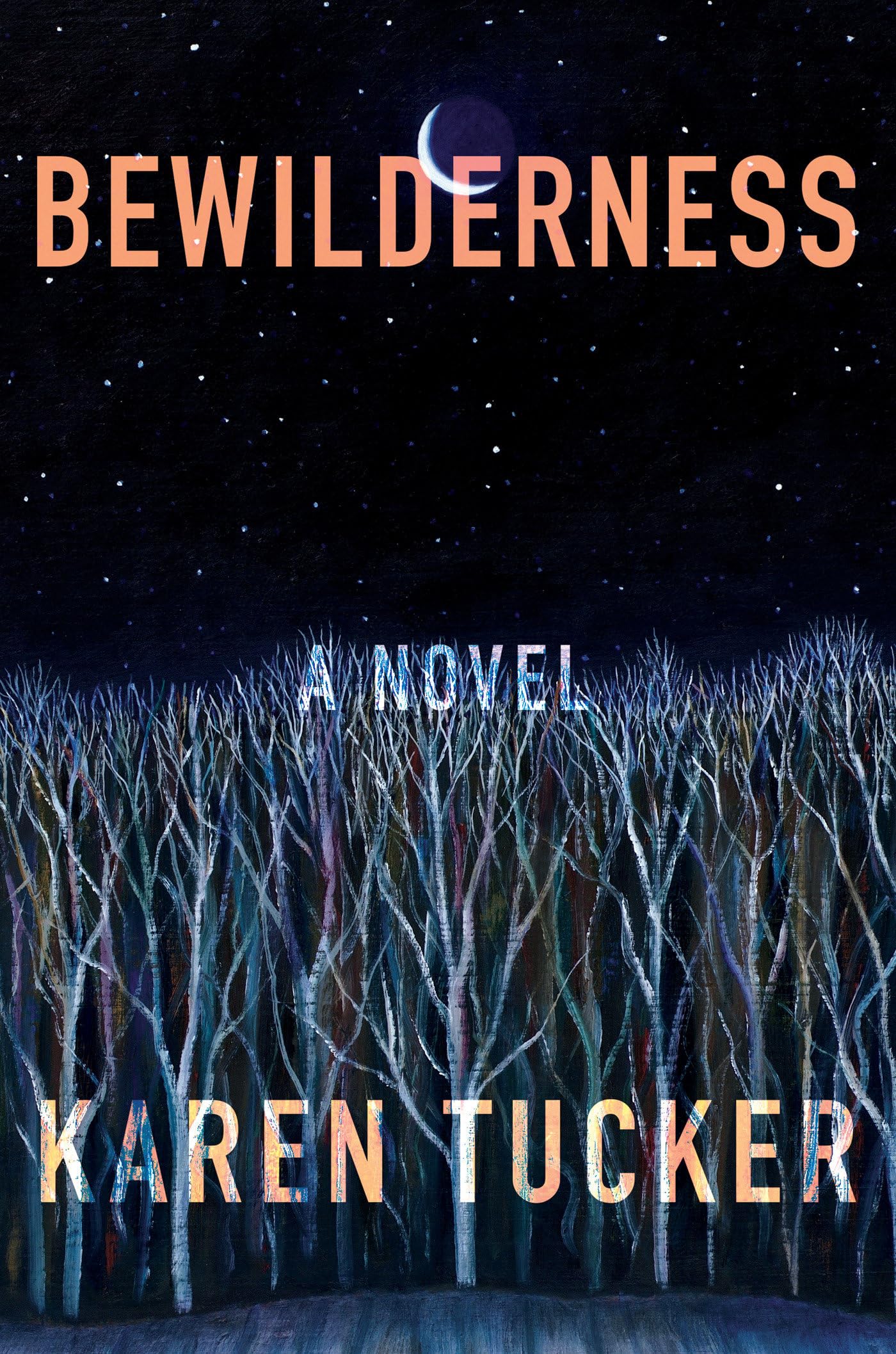 Bewilderness Contemporary literature Books