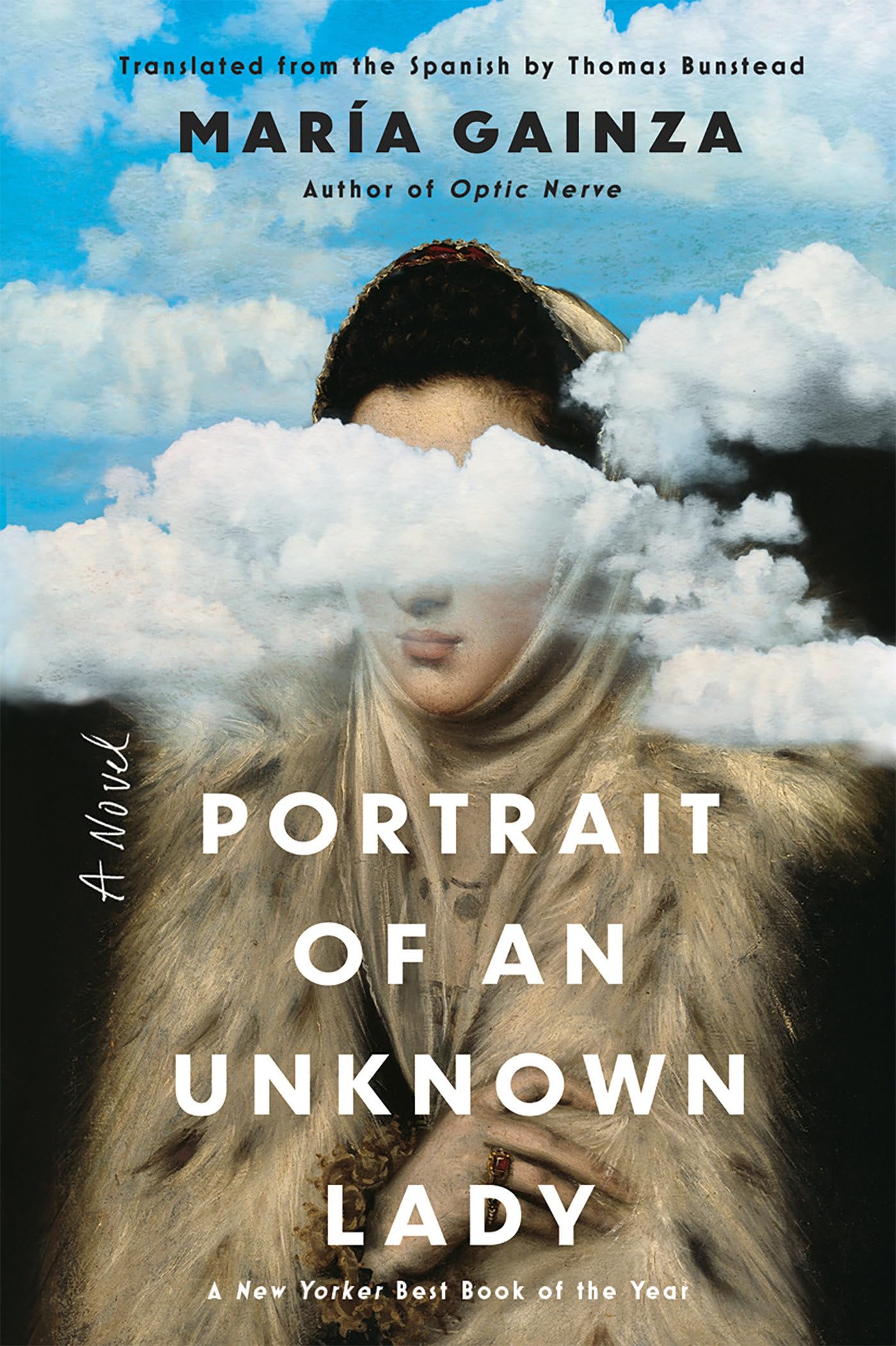 Portrait of an Unknown Lady: A Novel Contemporary literature