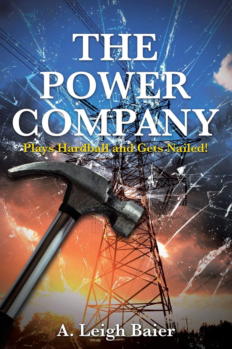 The Power Company: Plays Hardball and Gets Nailed! book