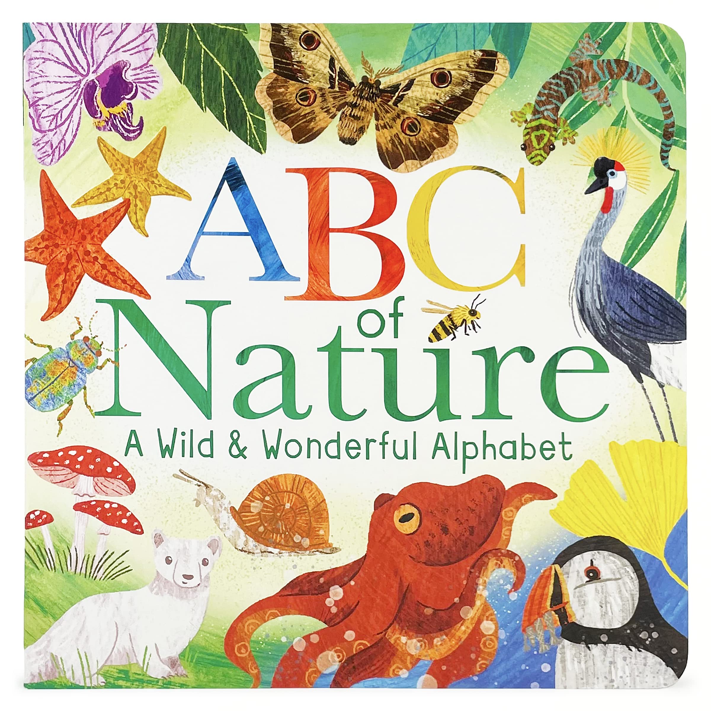 ABC of Nature: A Wild & Wonderful Alphabet Non-fiction