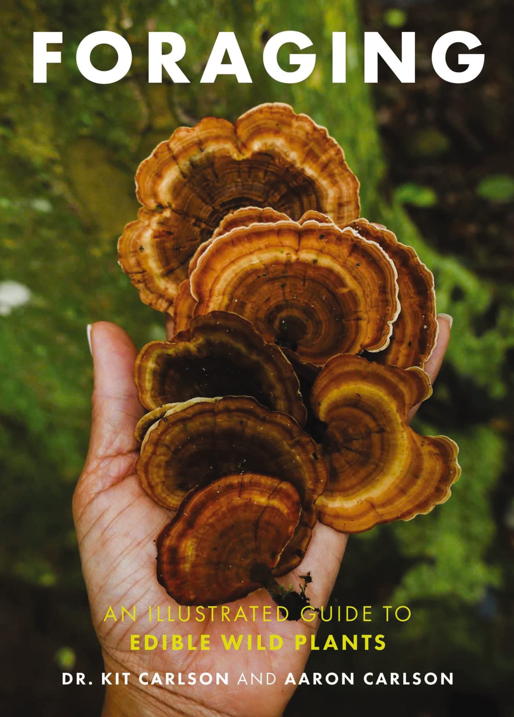 Foraging: An Illustrated Guide to Edible Wild Plants Mathematics