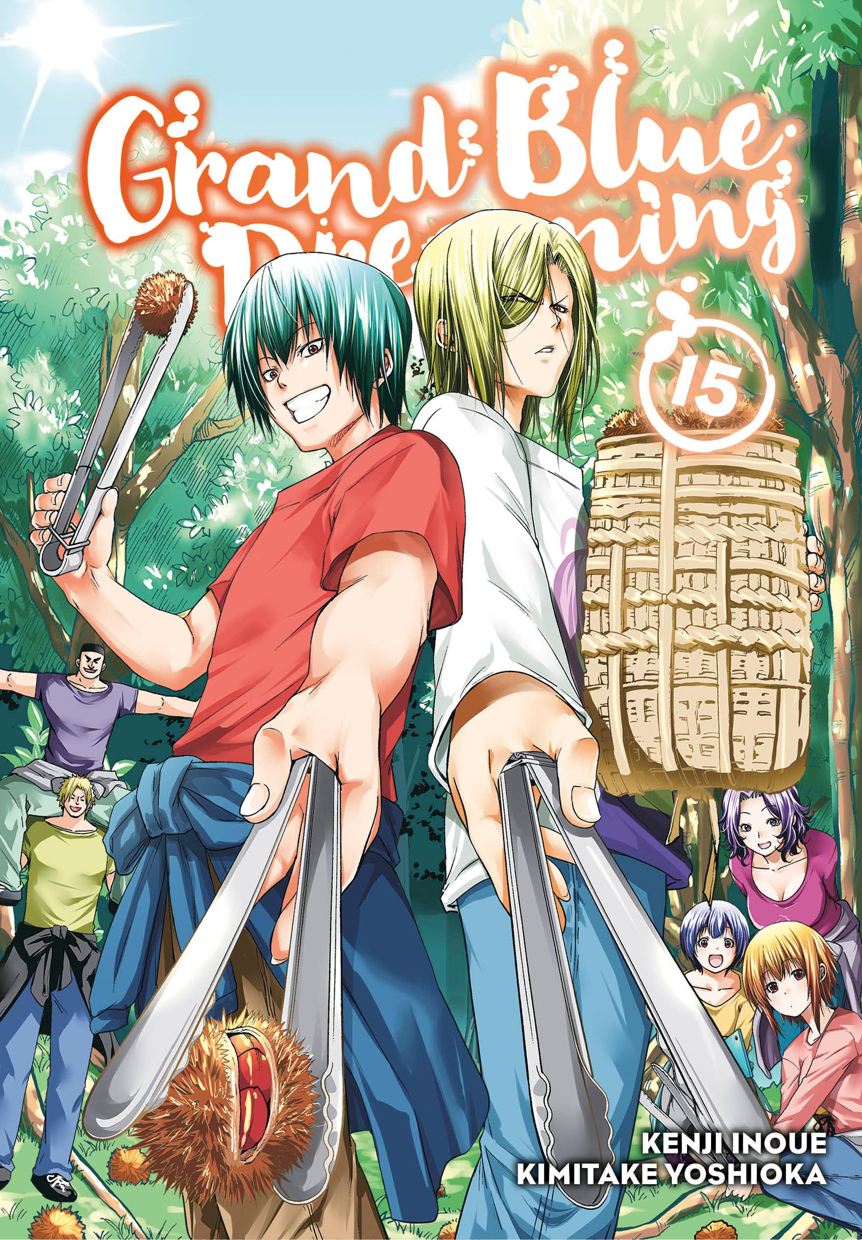 Grand Blue Dreaming 15 Manga
