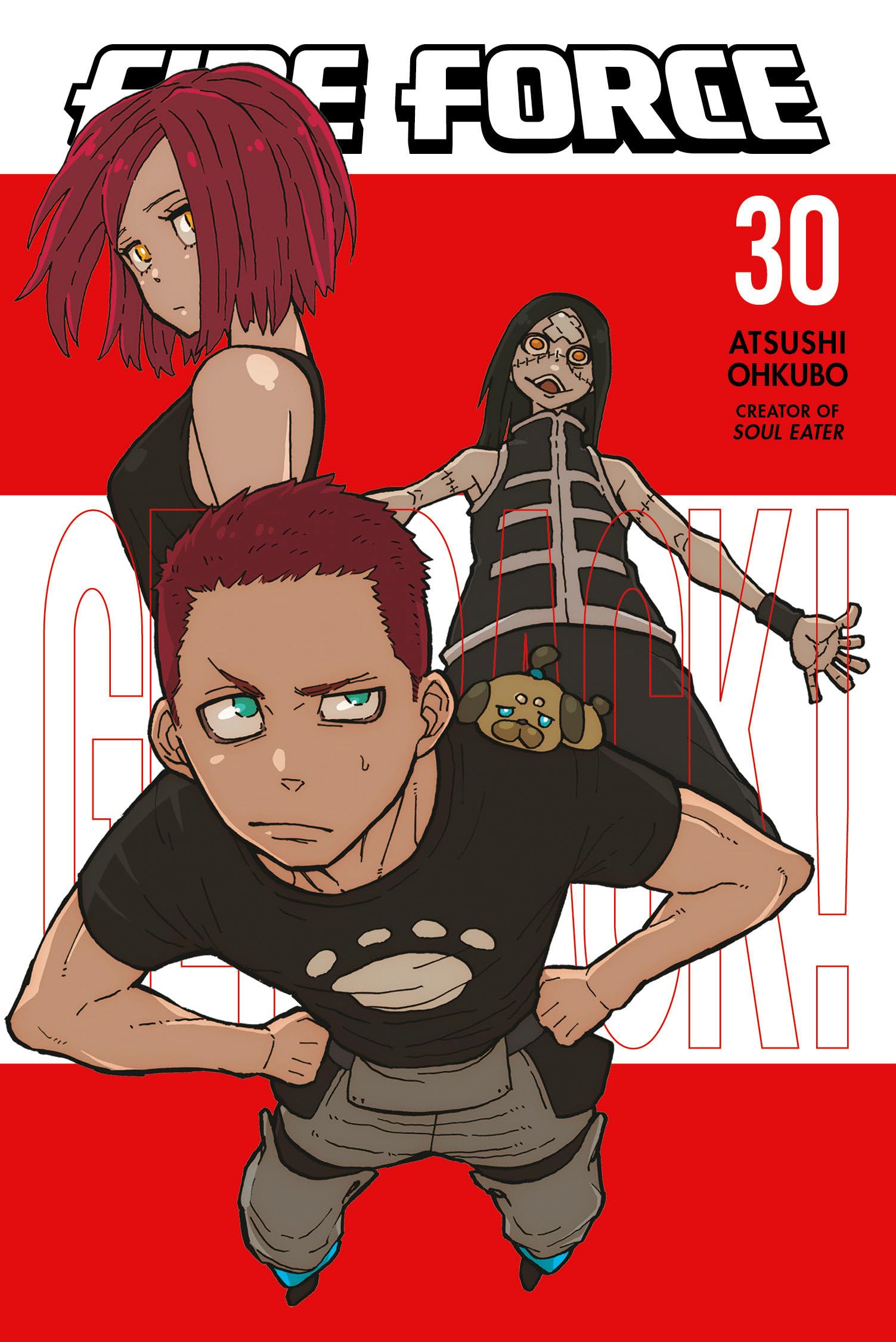 Fire Force 30 Manga