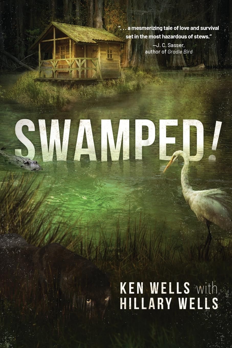 Swamped! Fiction books for children