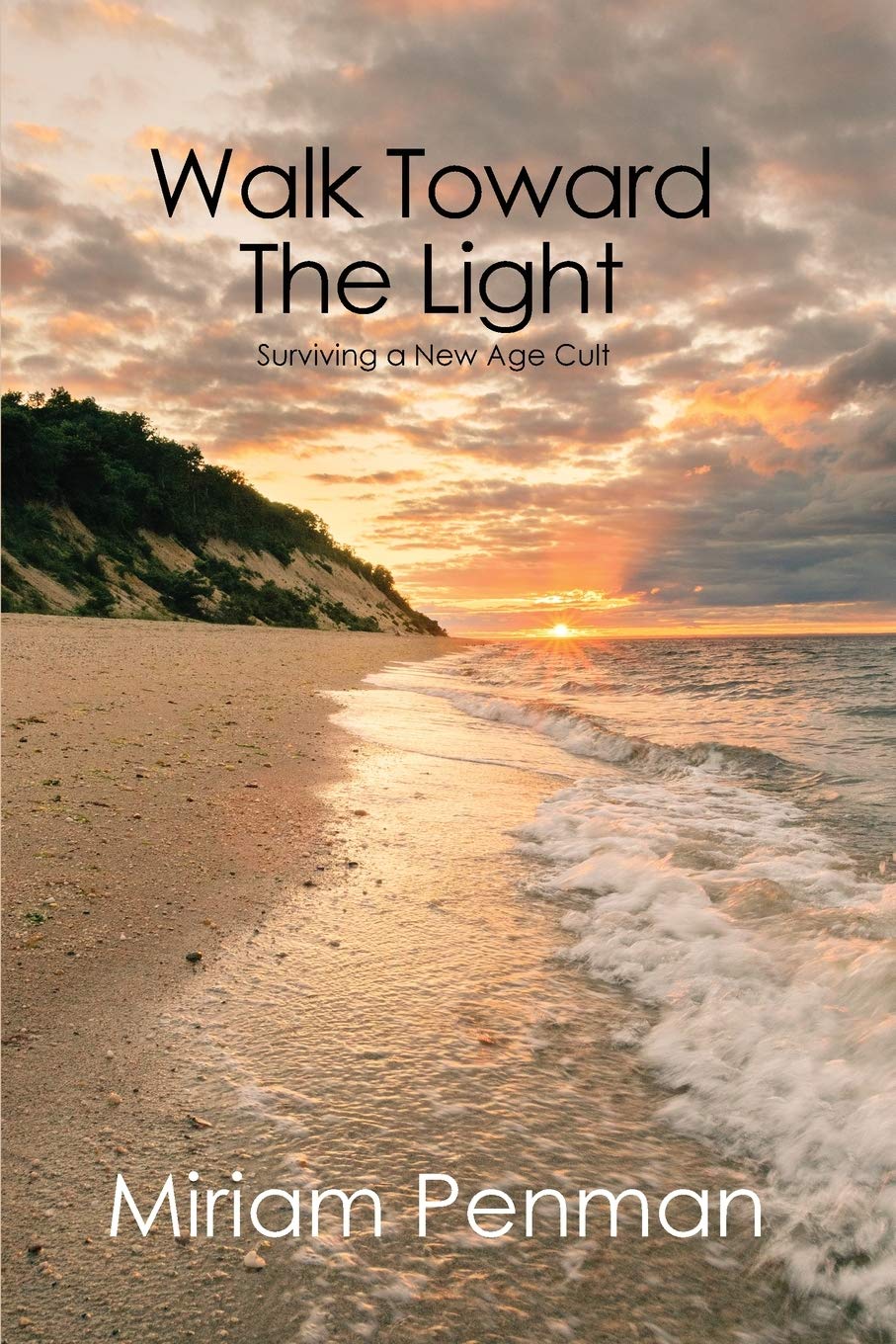 Walk Toward The Light: Surviving a New Age Cult Art & Literature