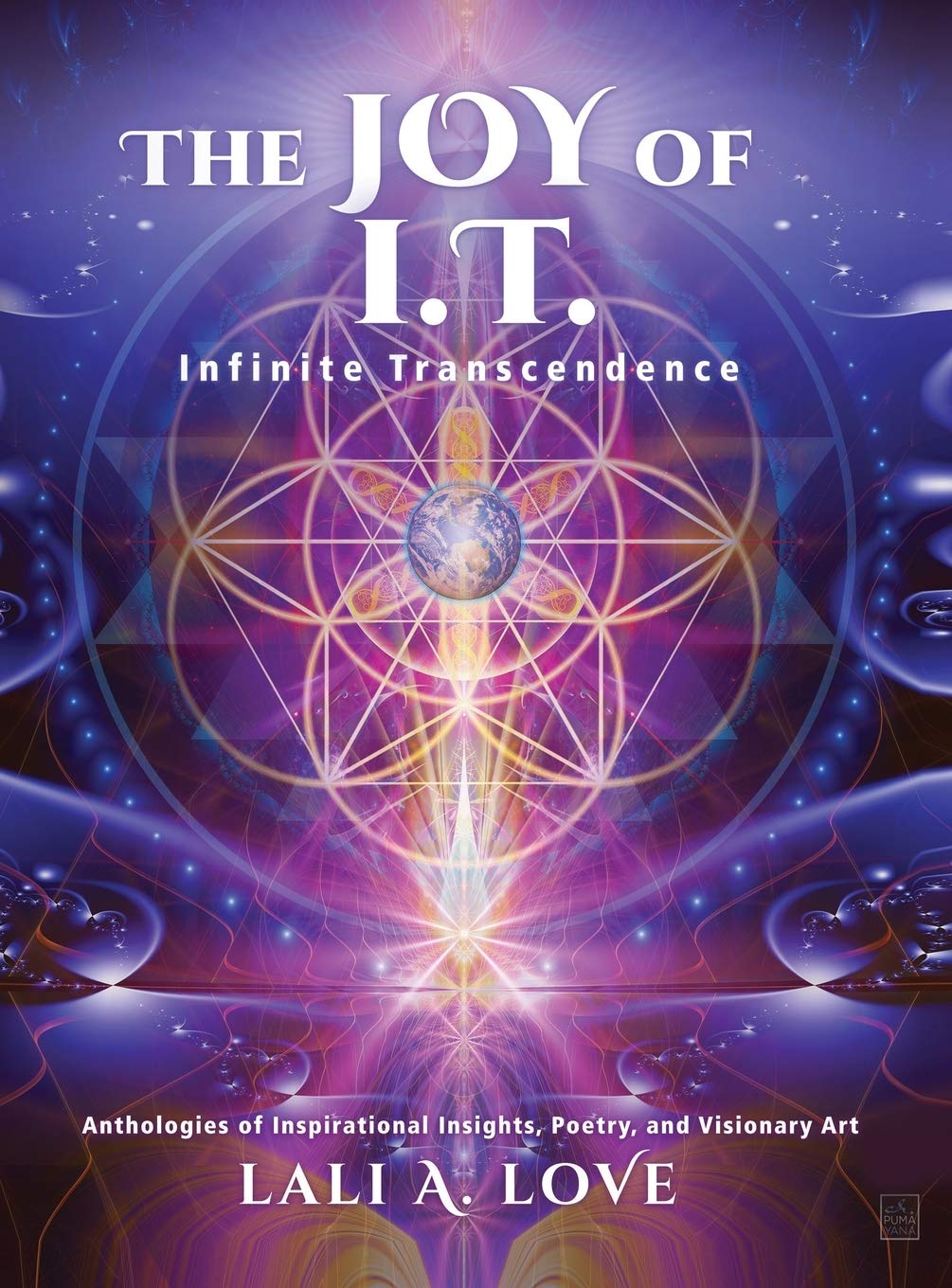The Joy of I.T.: Infinite Transcendence book