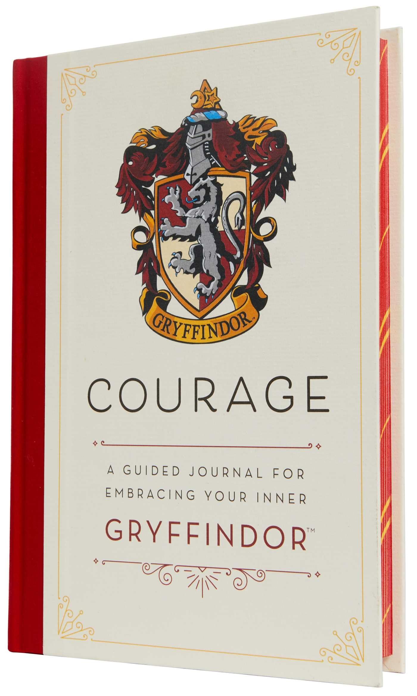 Harry Potter: Courage Social Sciences