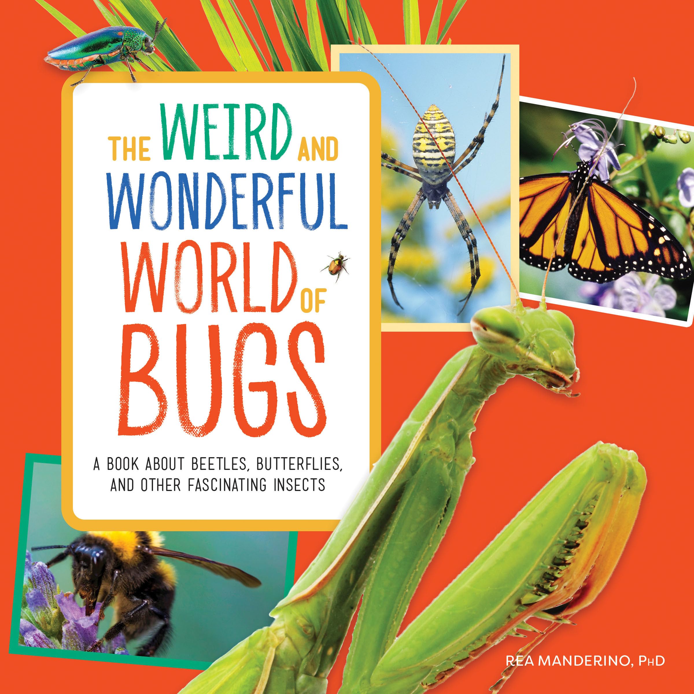 The Weird and Wonderful World of Bugs Non-fiction