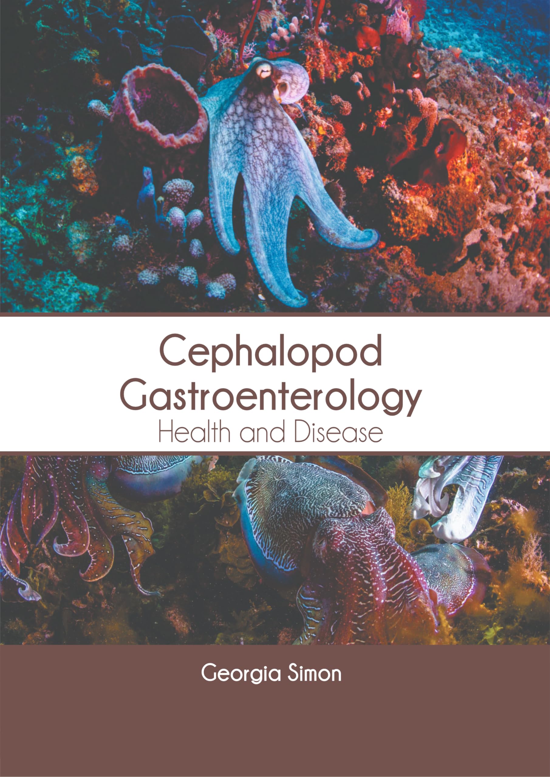 Cephalopod Gastroenterology: Health and Disease Natural Sciences