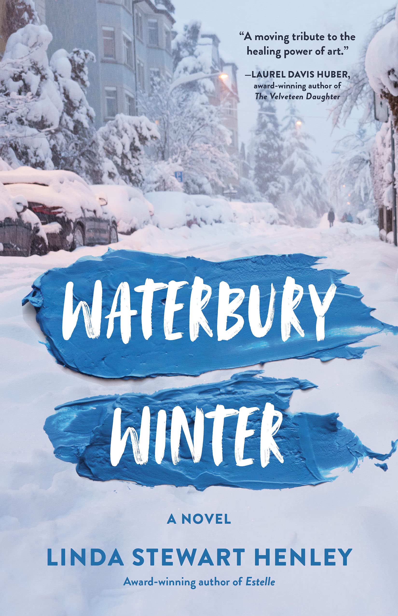 Waterbury Winter: A Novel Contemporary literature