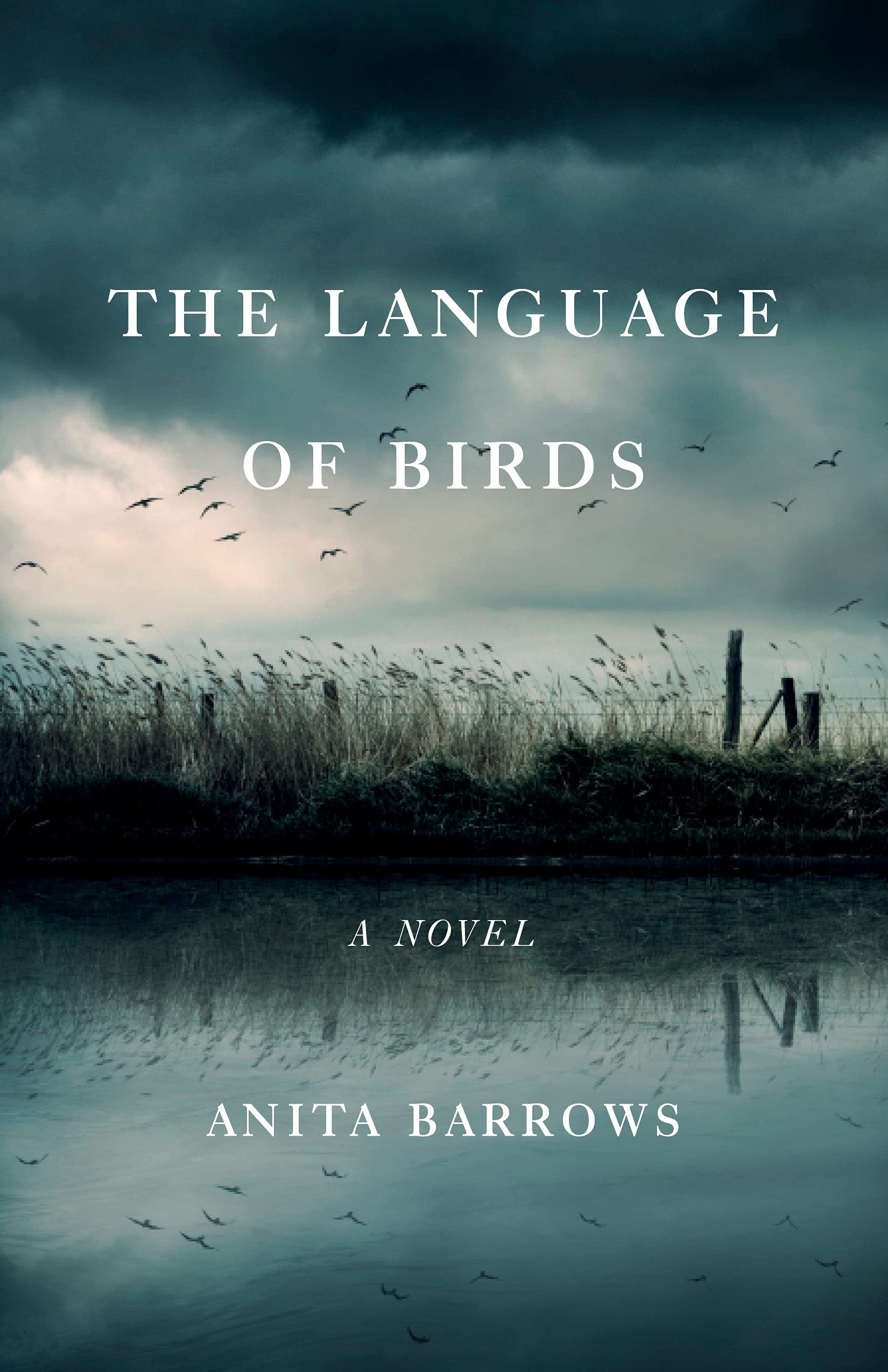 The Language of Birds: A Novel Contemporary literature